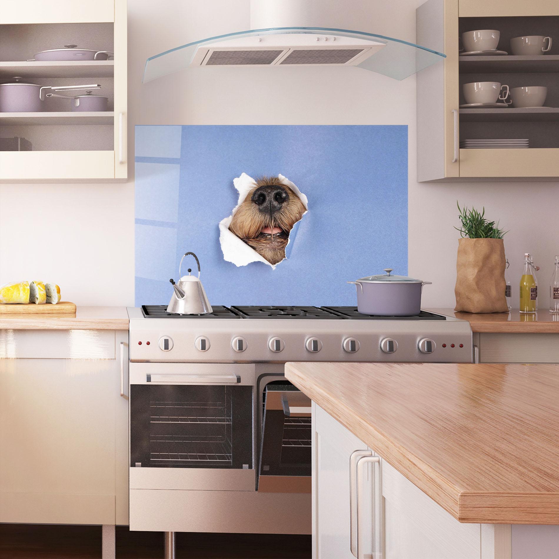 Küchenrückwand Glas Dog Small Nose mockup 1