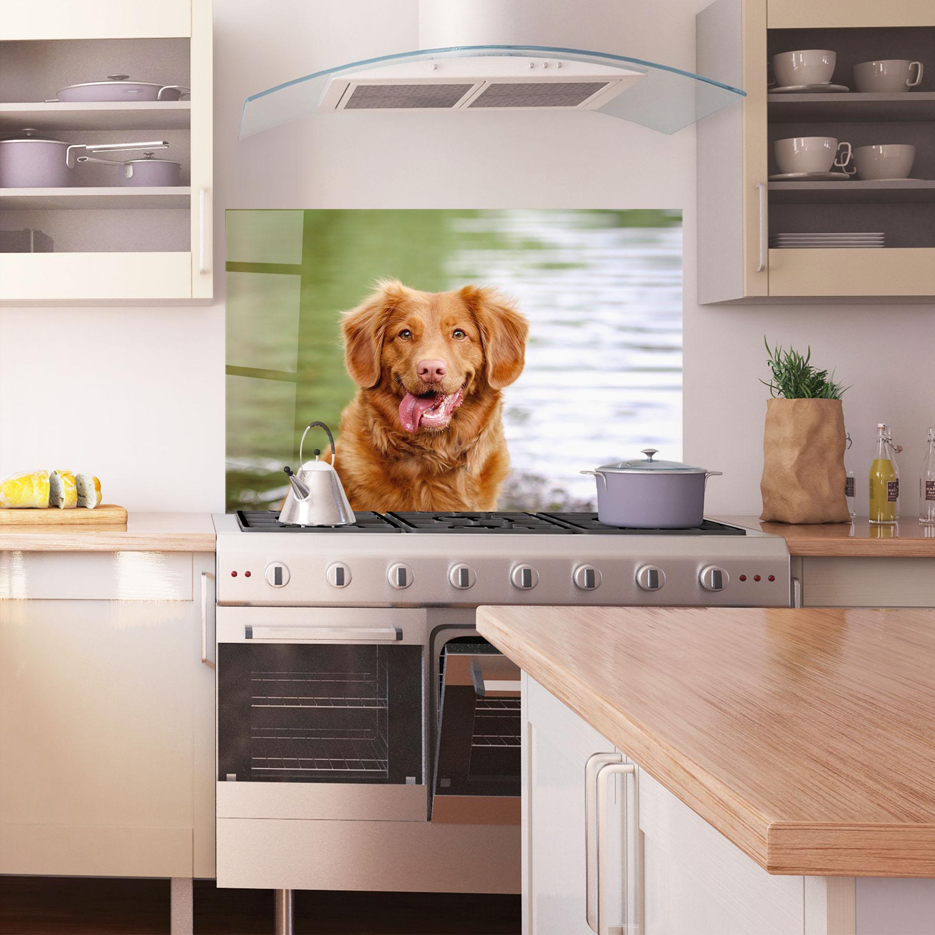 Küchenrückwand Glas Gren Water Dog mockup 1