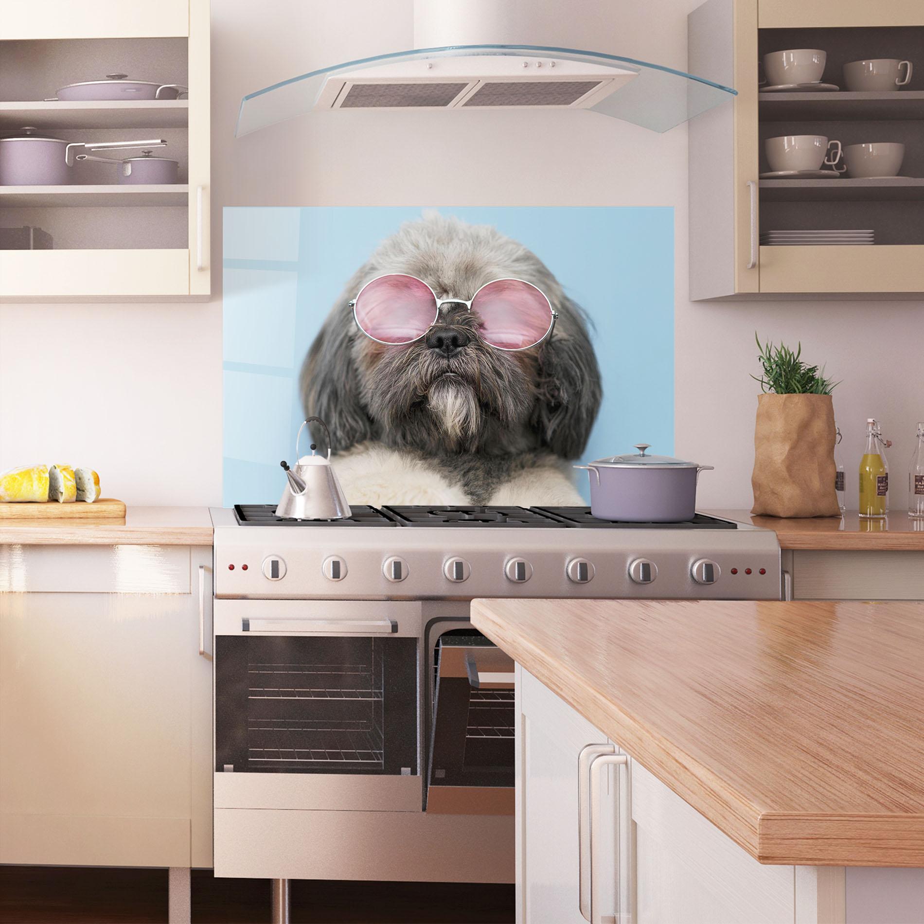 Küchenrückwand Glas Grey Dog On Blue mockup 1