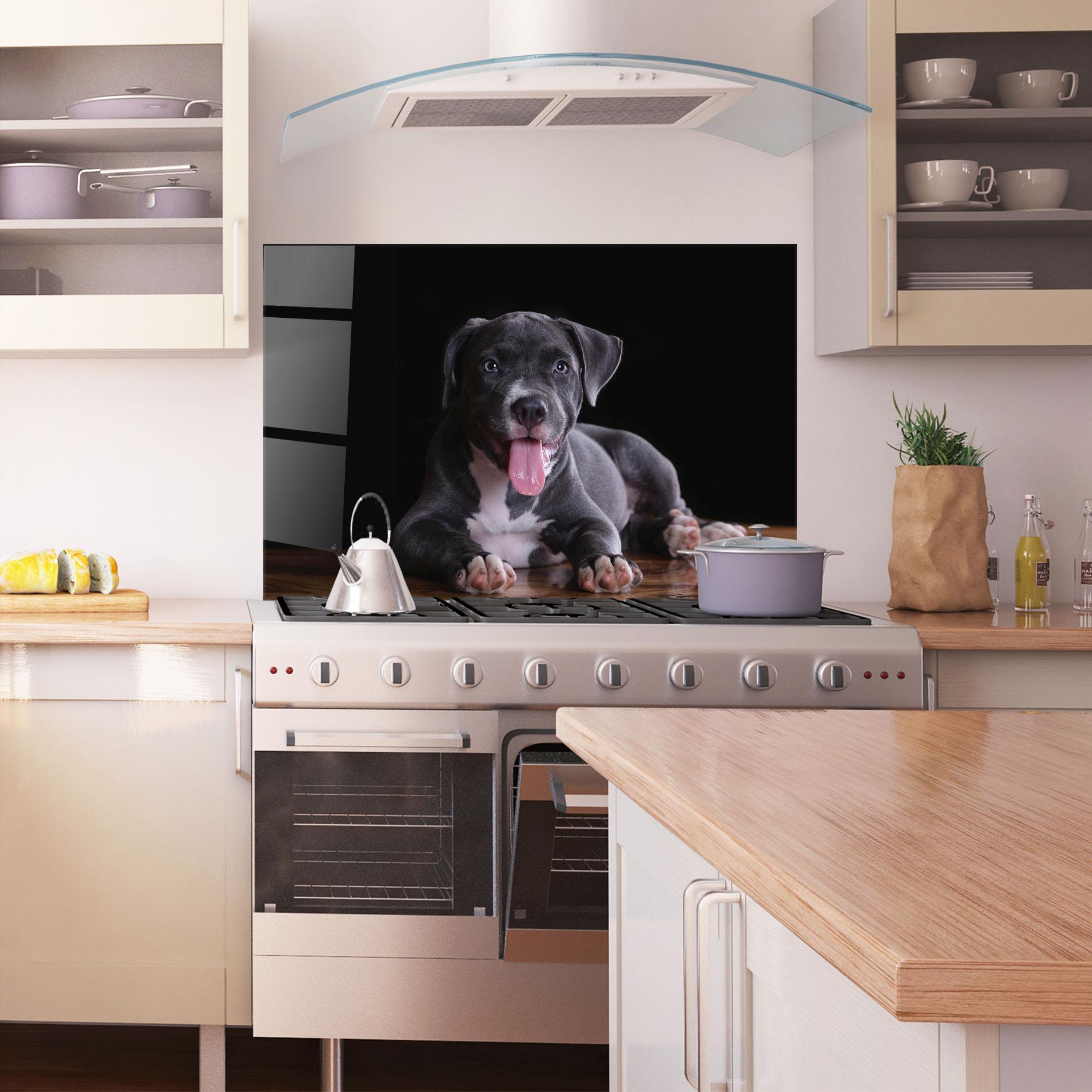Küchenrückwand Glas Terrier Puppy mockup 1