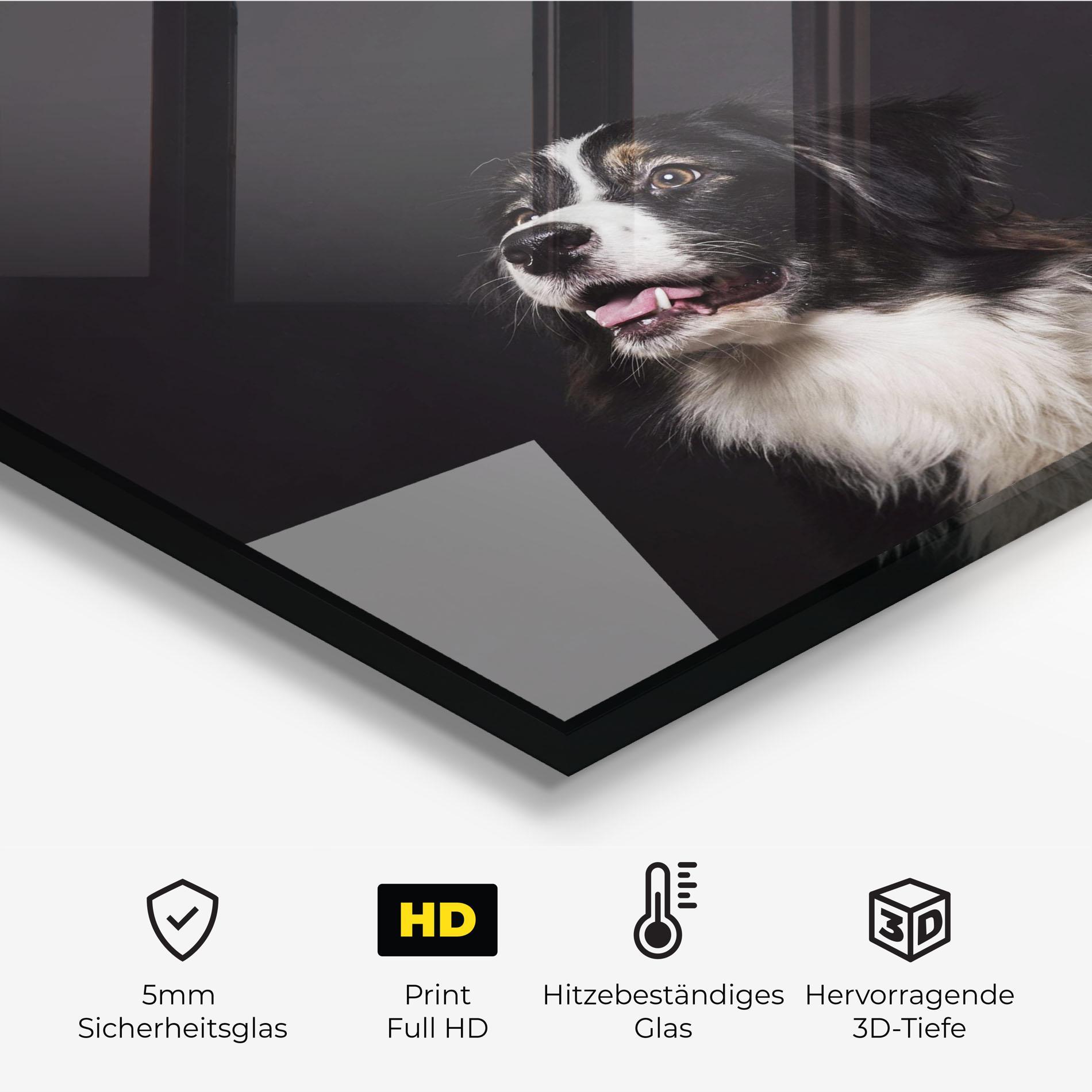 Küchenrückwand Glas Cute Dogs Standing mockup 2