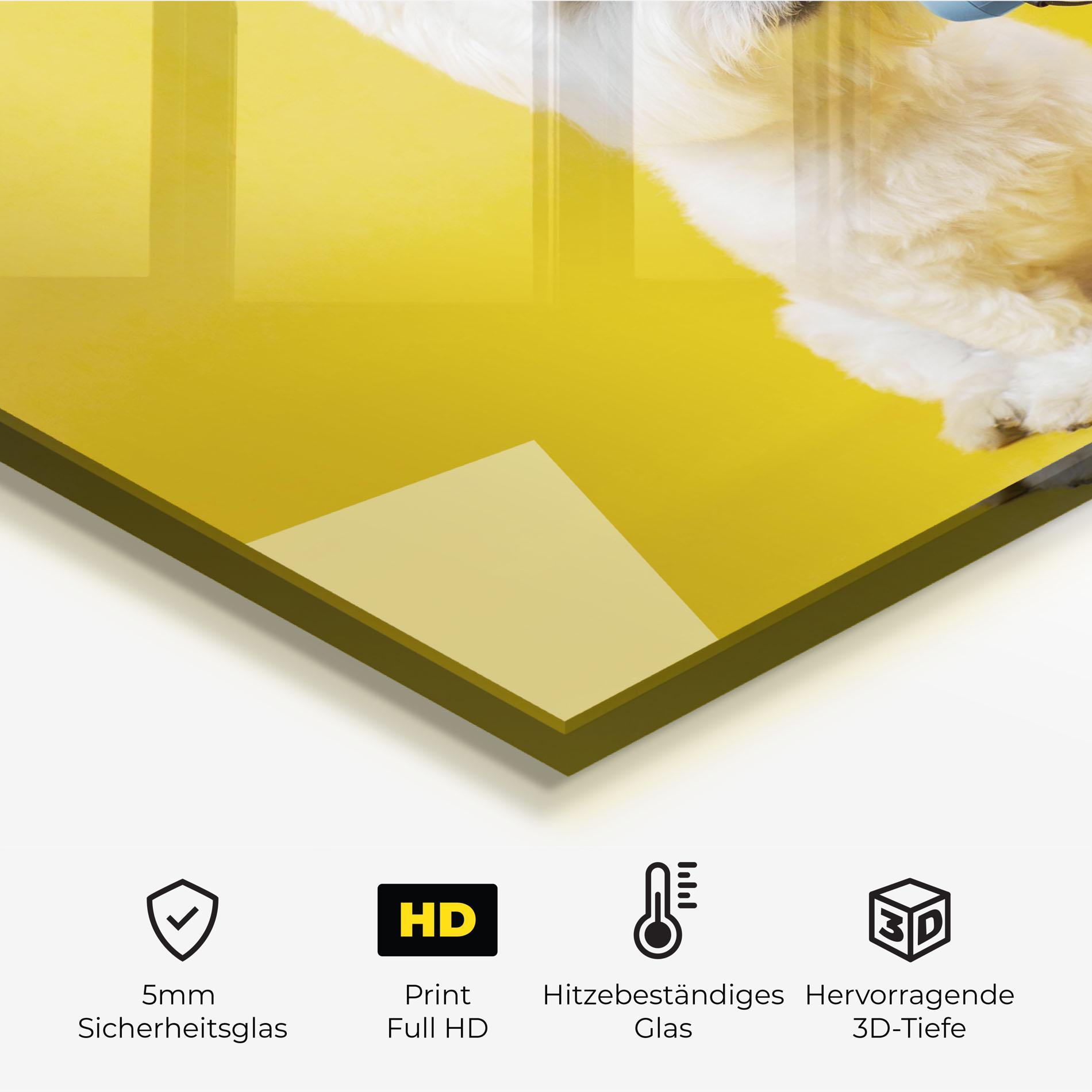 Küchenrückwand Glas Cute Little Dog mockup 2