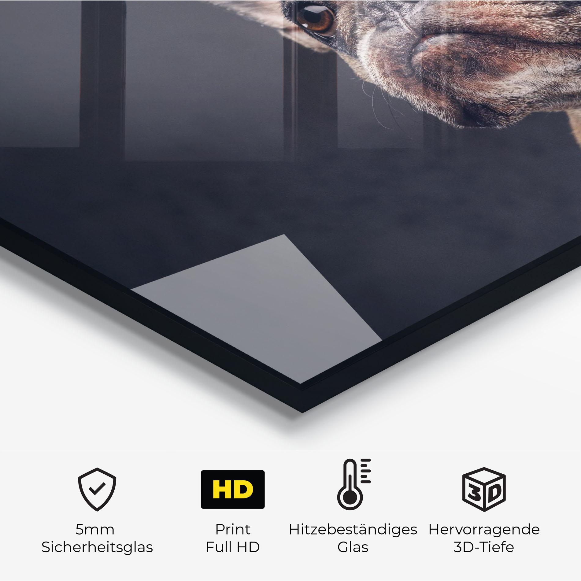 Küchenrückwand Glas Dog Looking Up mockup 2