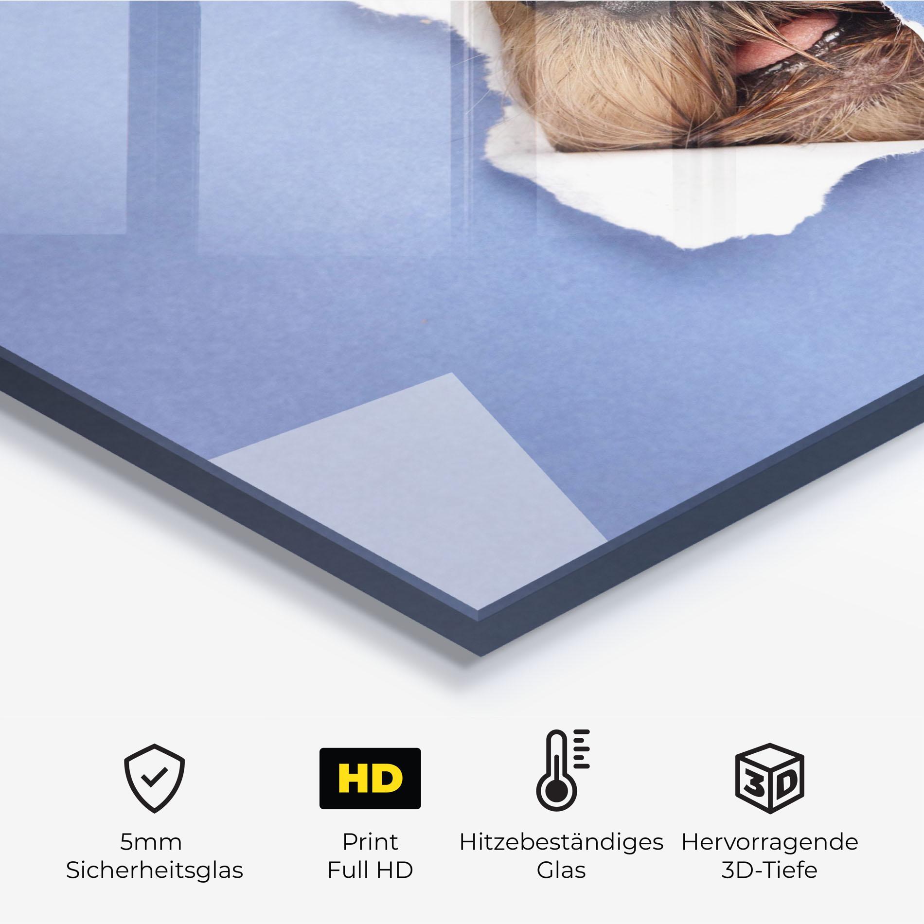 Küchenrückwand Glas Dog Small Nose mockup 2