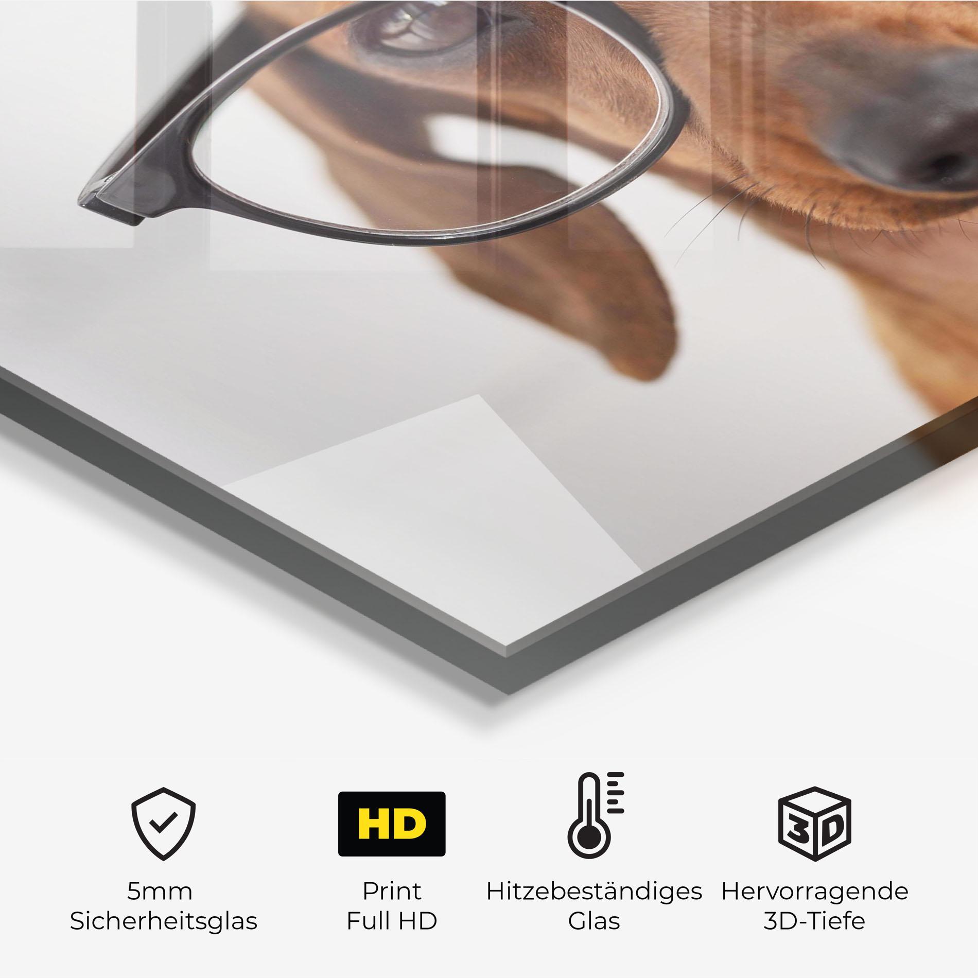 Küchenrückwand Glas Dog Wearing Glasses mockup 2