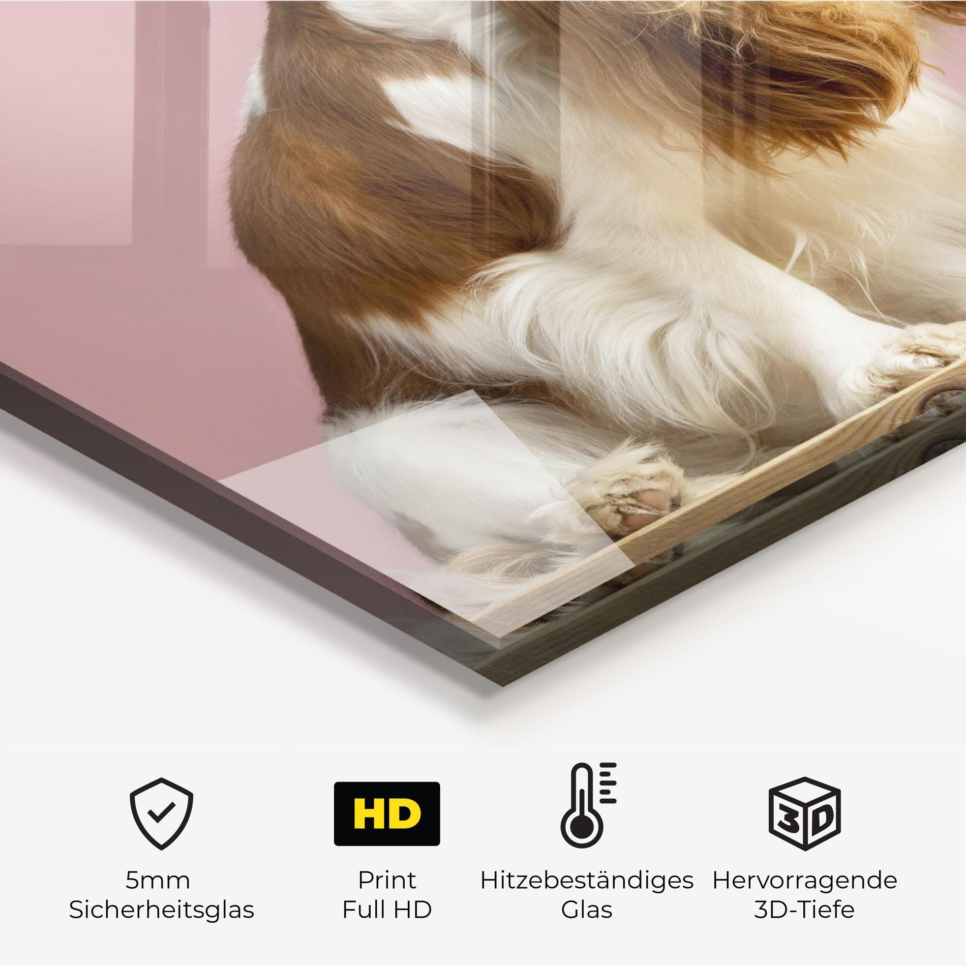 Küchenrückwand Glas Dog With Juice mockup 2