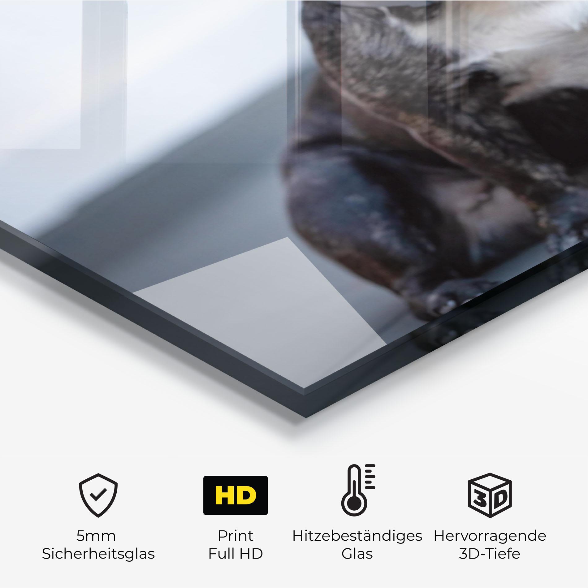 Küchenrückwand Glas Happy Black Dog mockup 2