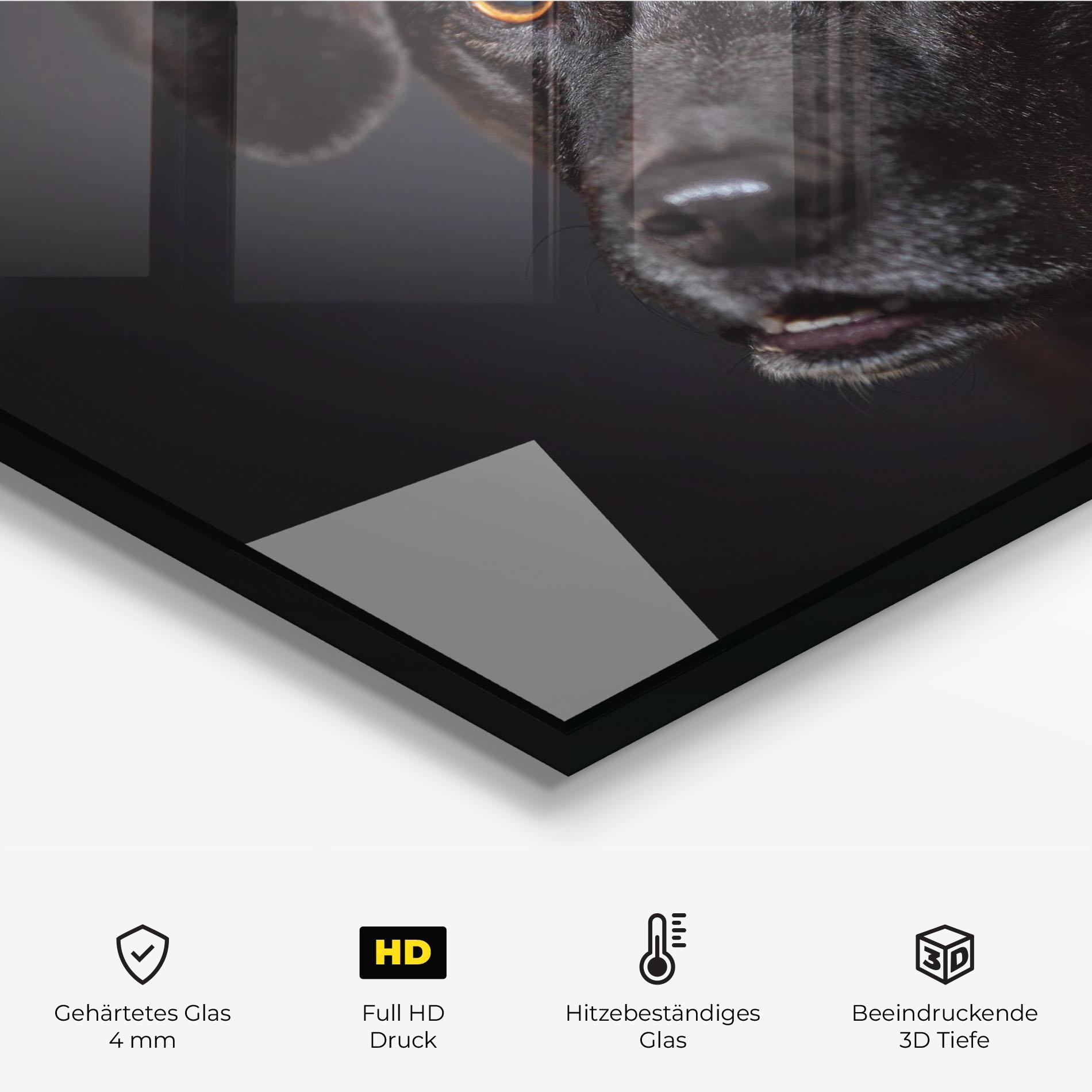 Küchenrückwand Glas Black Dog Portrait mockup 2