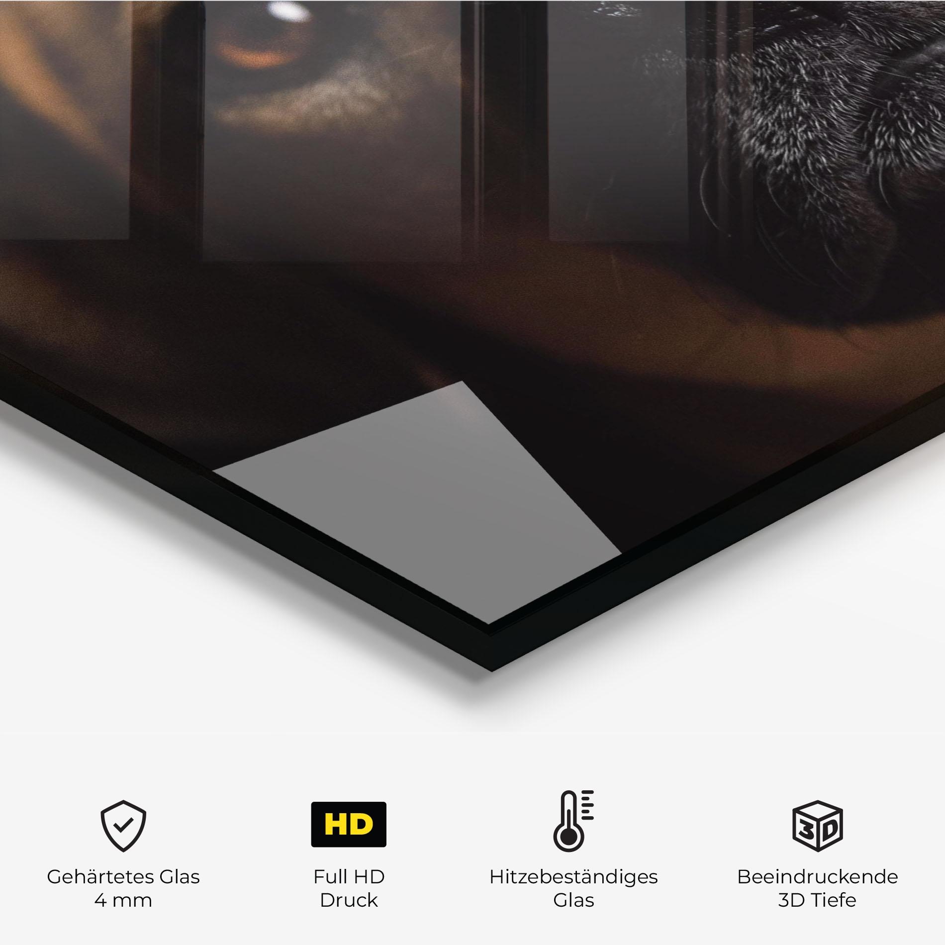 Küchenrückwand Glas Black Nose Dog mockup 2