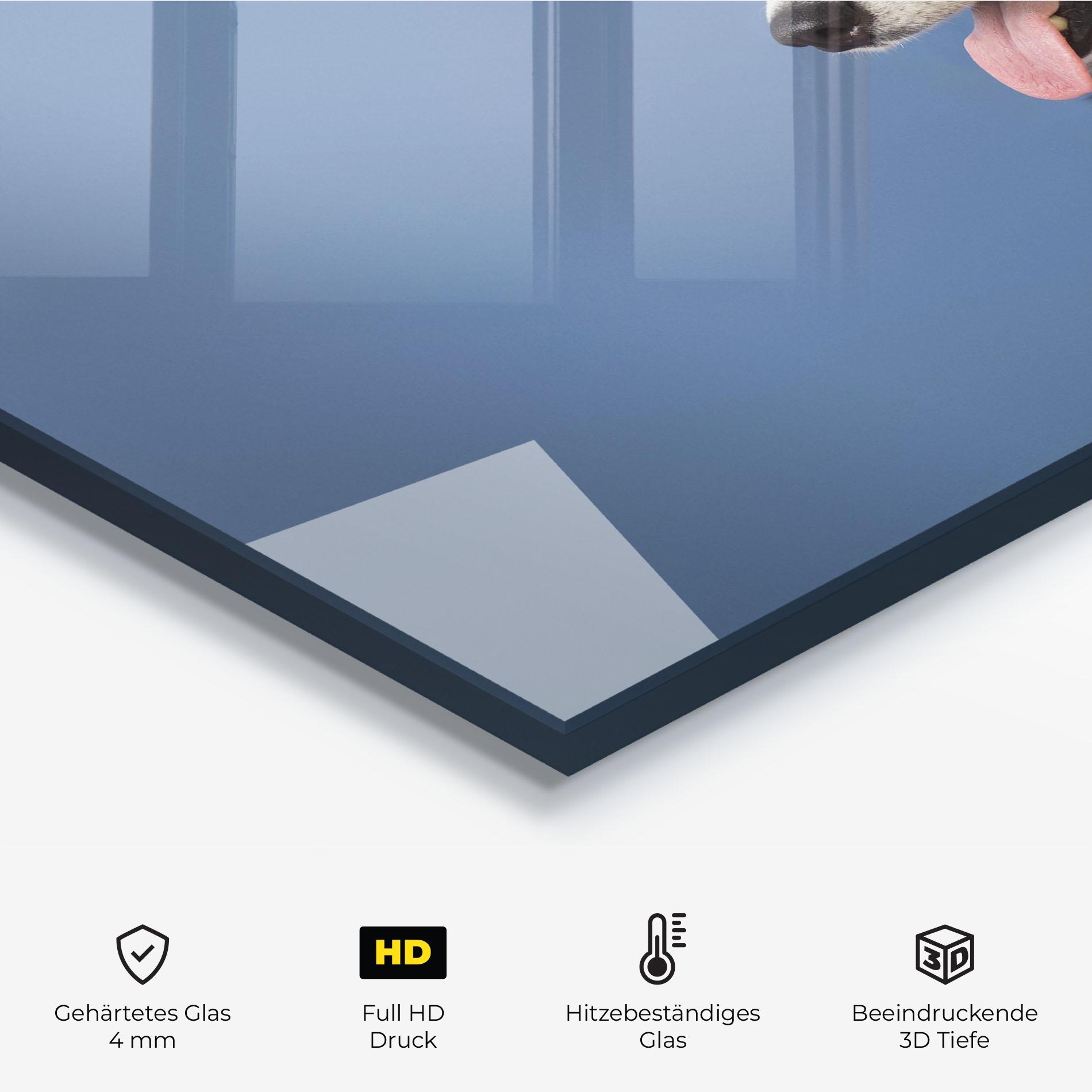 Küchenrückwand Glas Blue Glasses Dog mockup 2