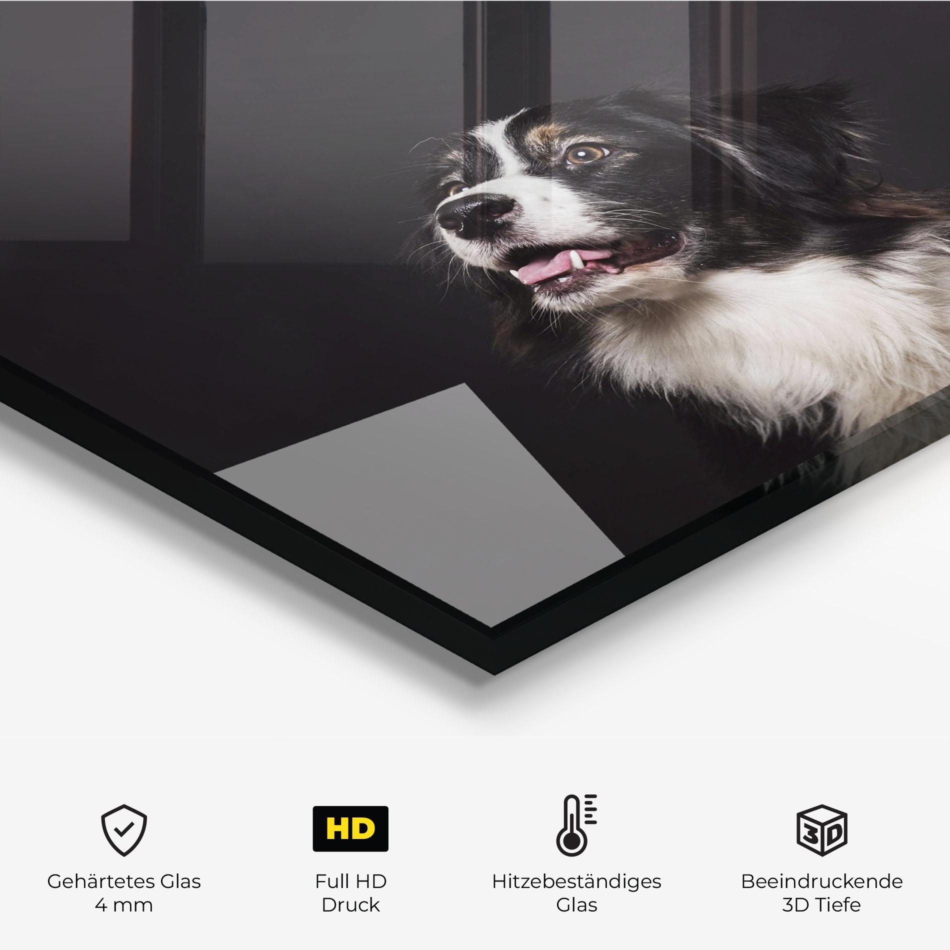 Küchenrückwand Glas Cute Dogs Standing mockup 2