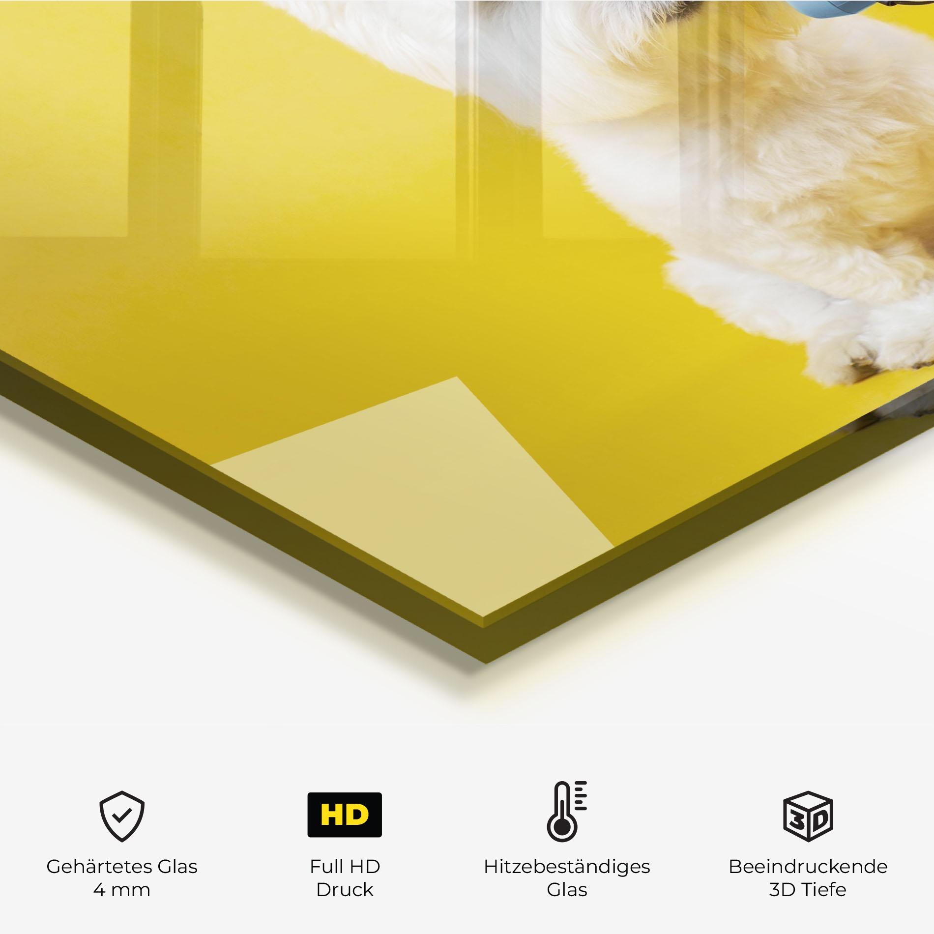 Küchenrückwand Glas Cute Little Dog mockup 2