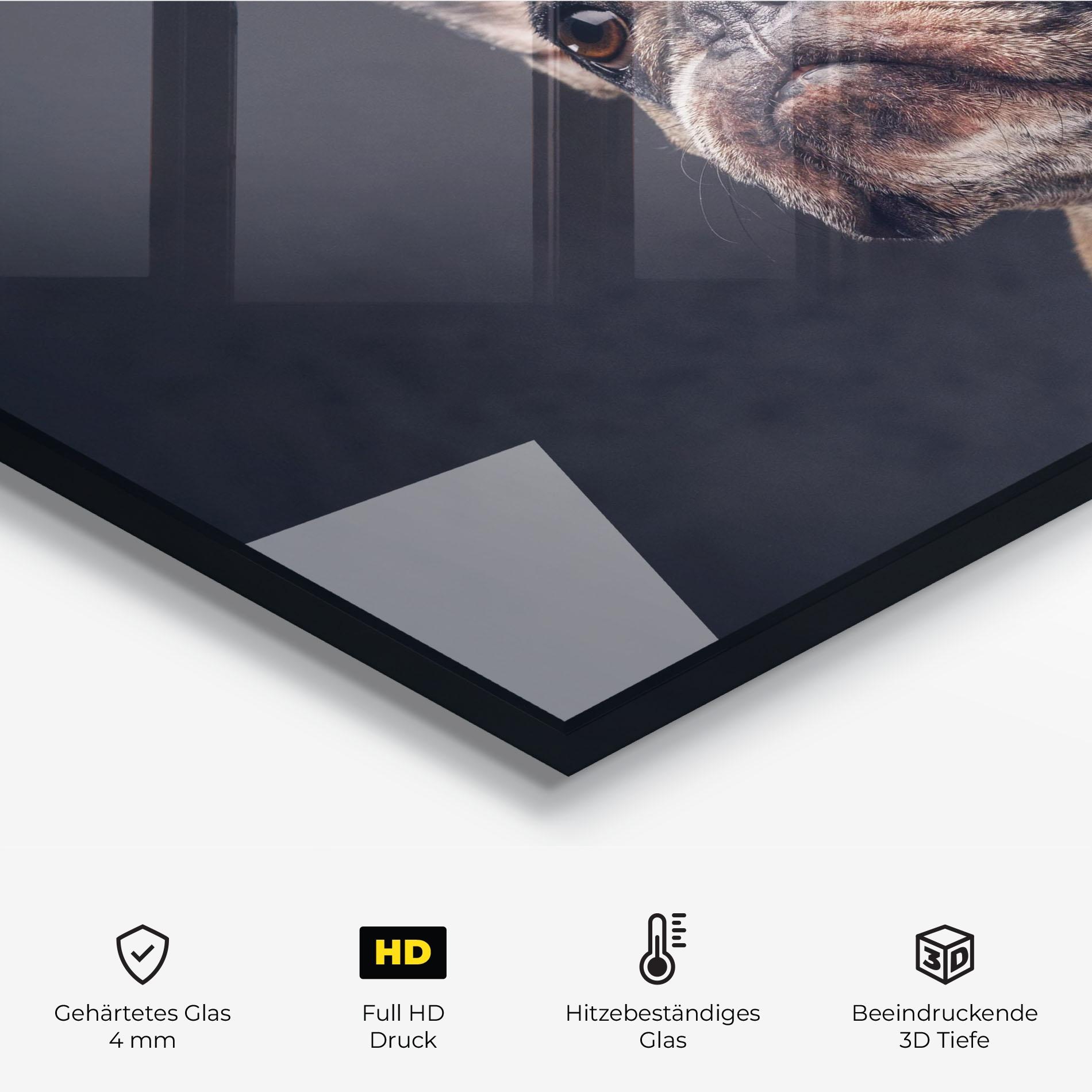 Küchenrückwand Glas Dog Looking Up mockup 2