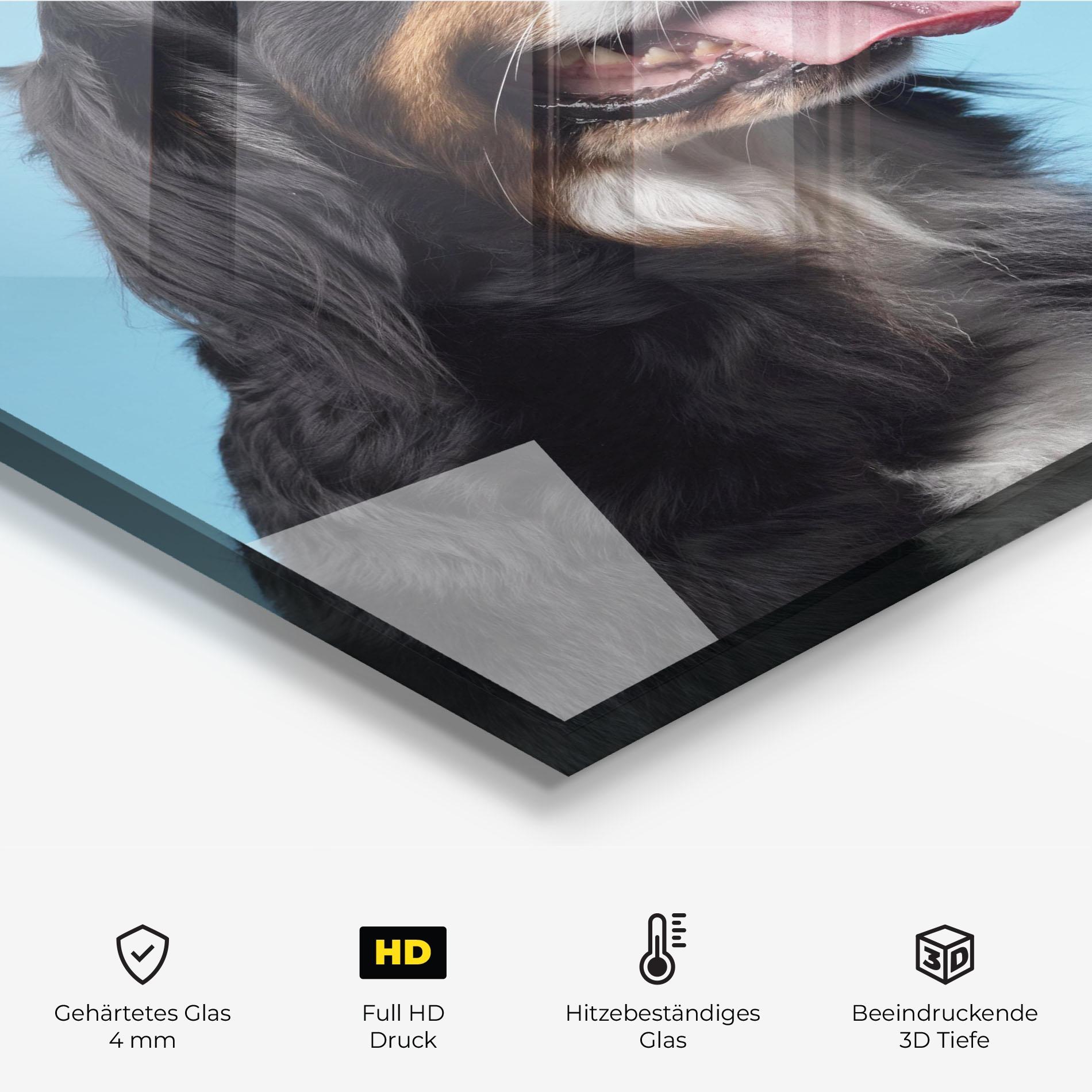 Küchenrückwand Glas Dog On Blue mockup 2