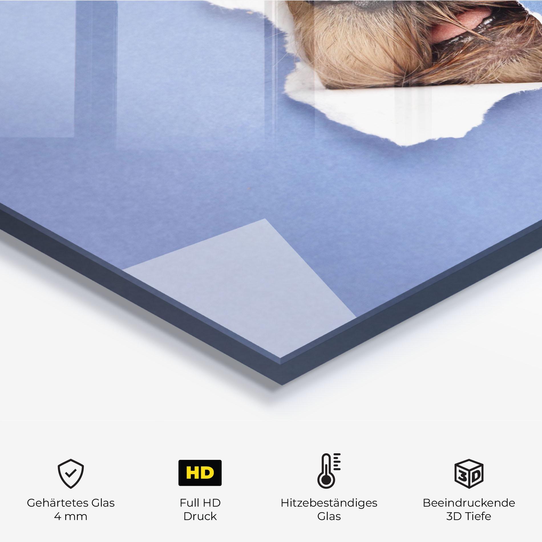 Küchenrückwand Glas Dog Small Nose mockup 2