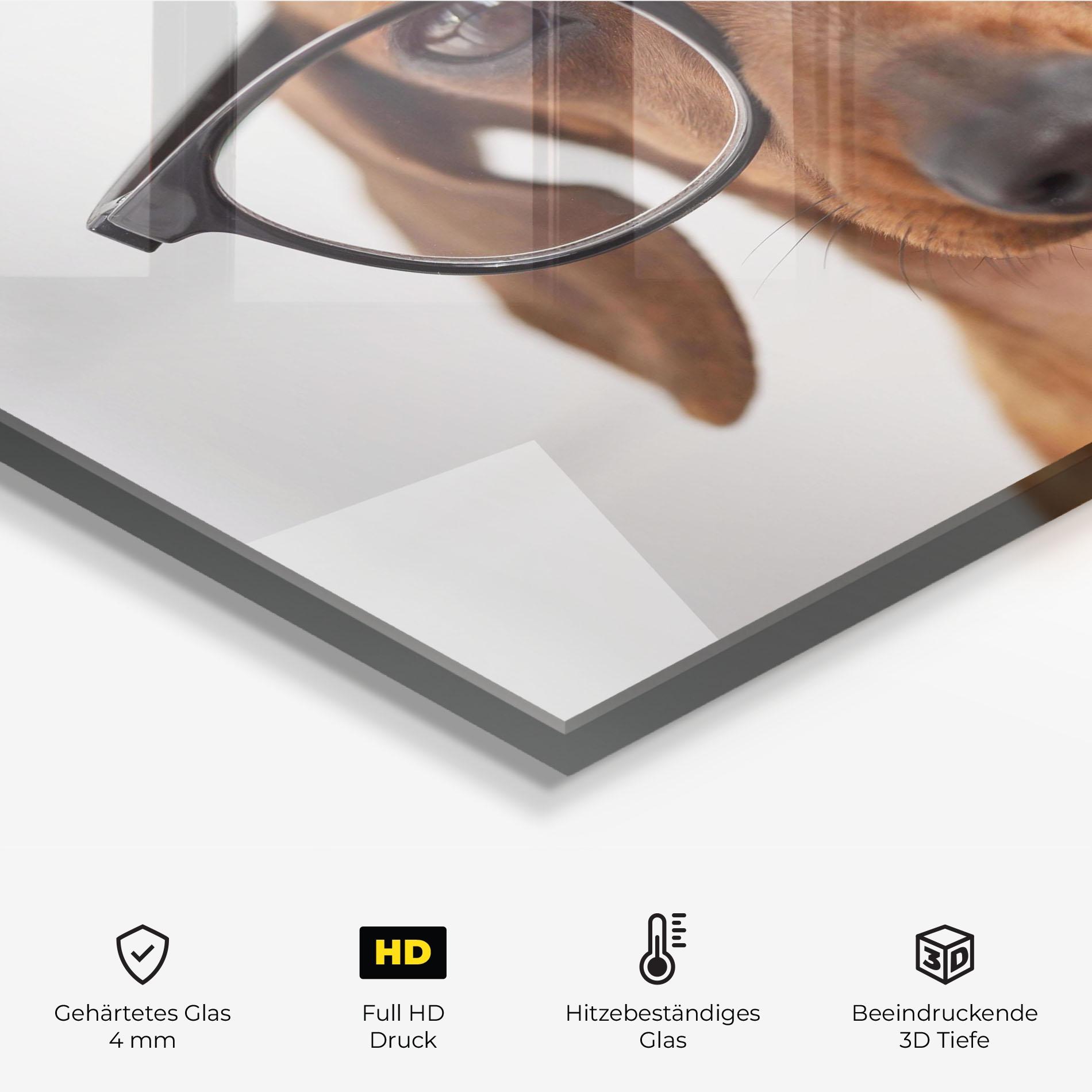 Küchenrückwand Glas Dog Wearing Glasses mockup 2