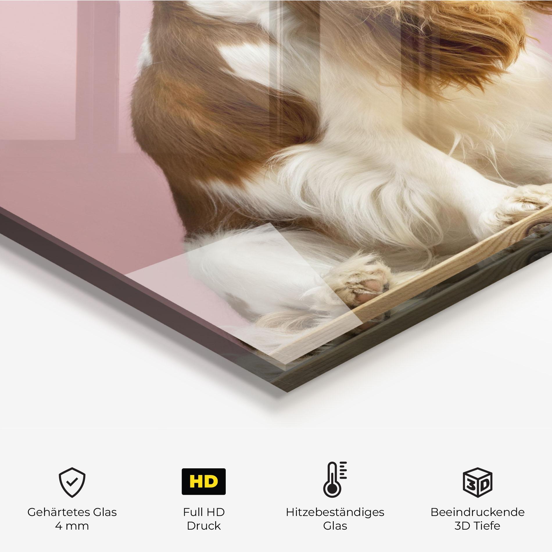 Küchenrückwand Glas Dog With Juice mockup 2