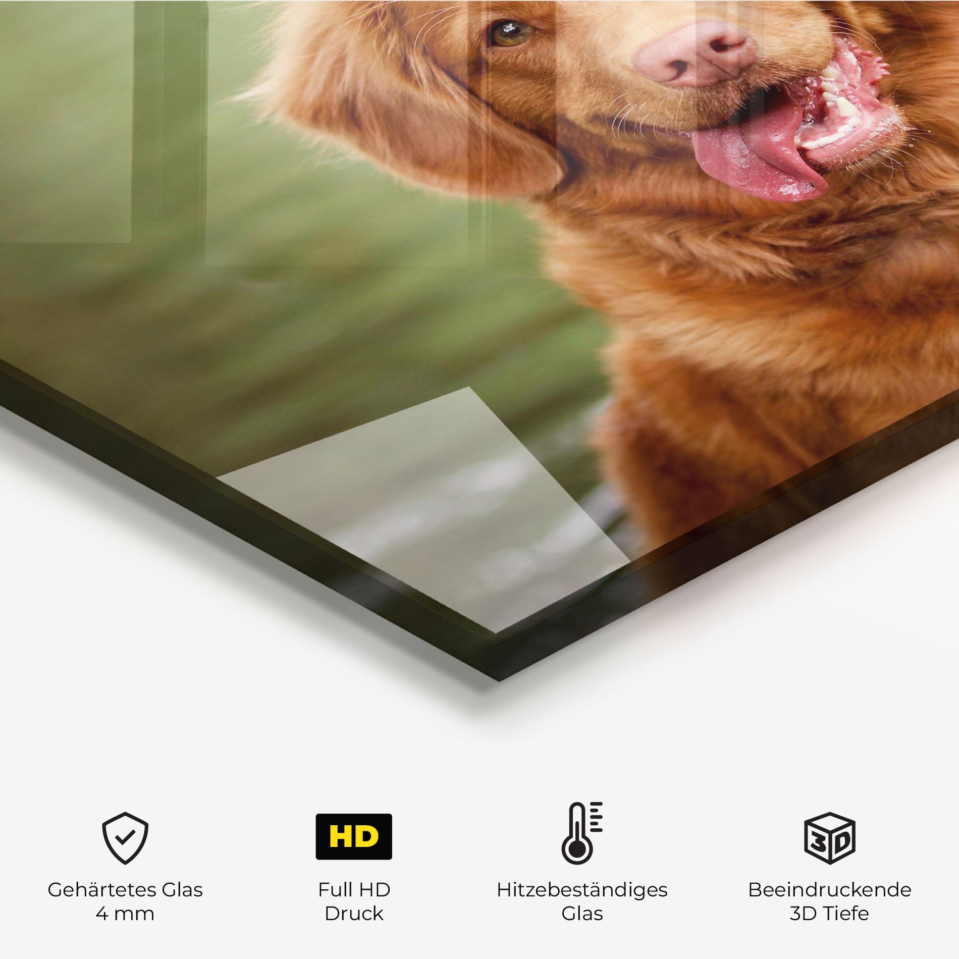 Küchenrückwand Glas Gren Water Dog mockup 2