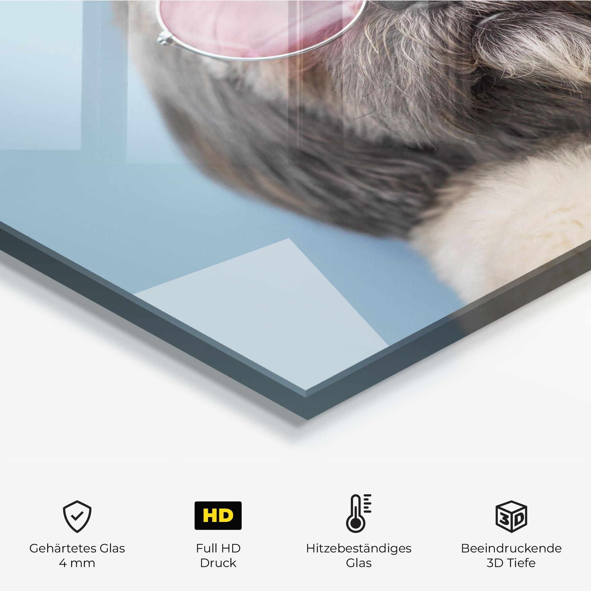 Küchenrückwand Glas Grey Dog On Blue mockup 2