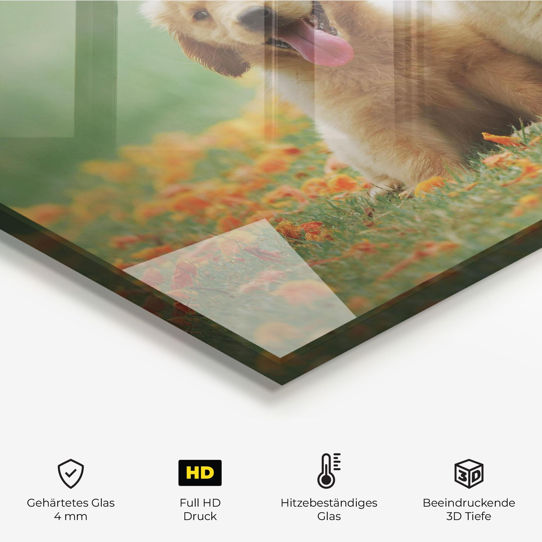 Küchenrückwand Glas Happy Dogs mockup 2