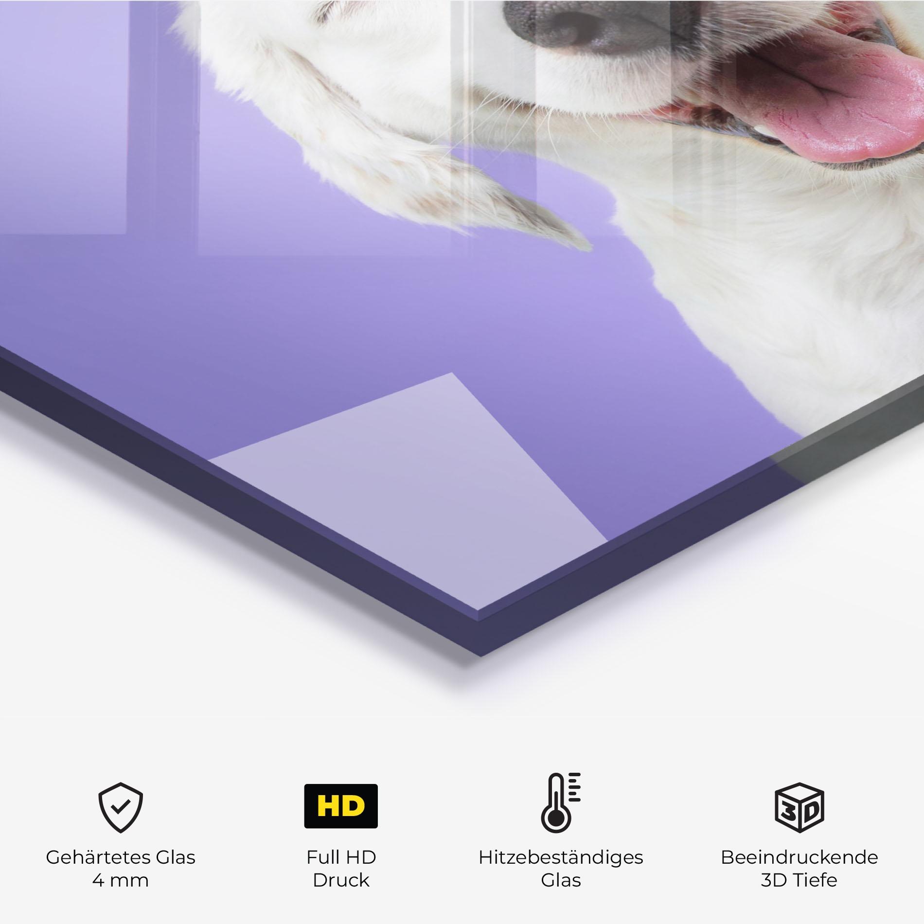 Küchenrückwand Glas Happy Whit Puppy mockup 2