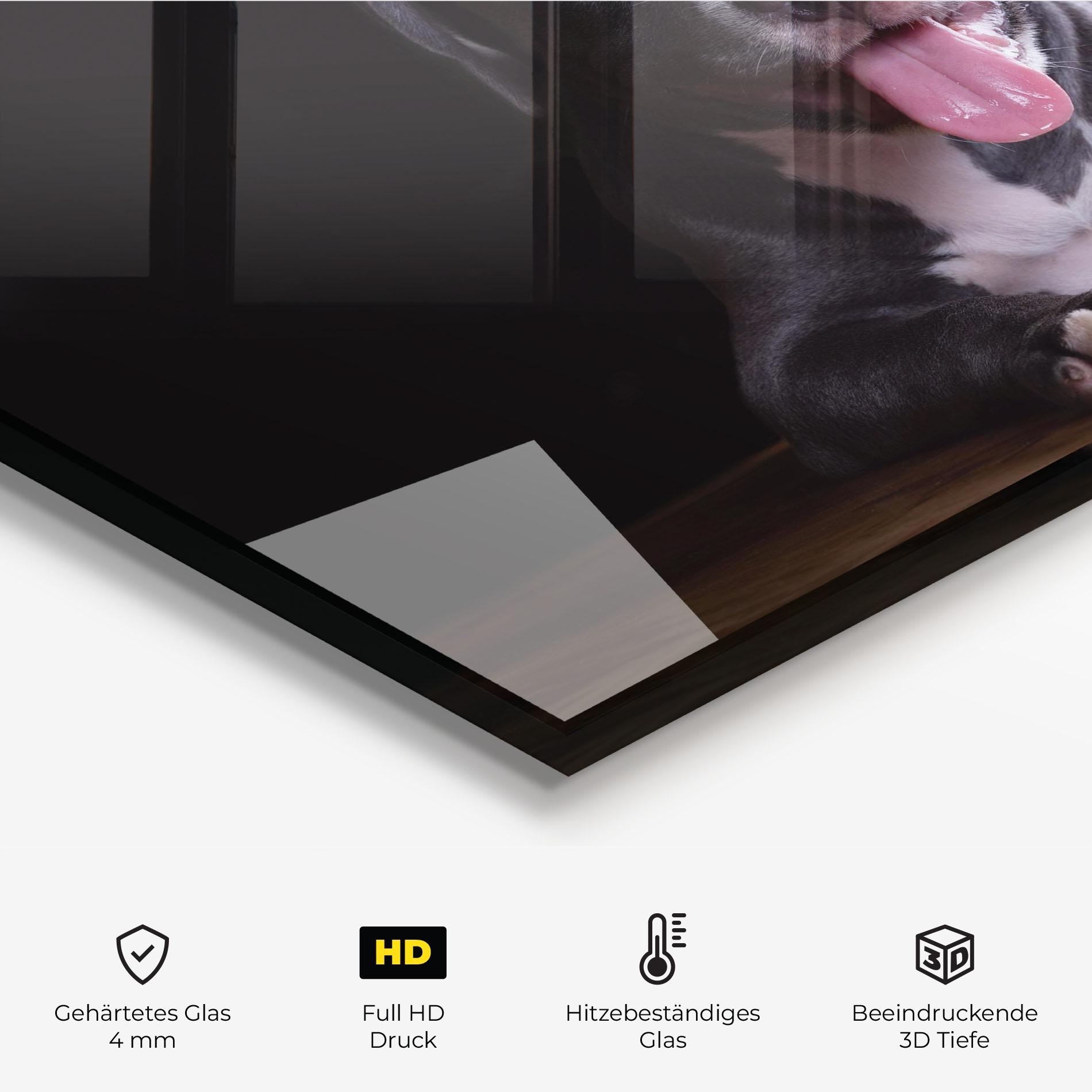 Küchenrückwand Glas Terrier Puppy mockup 2