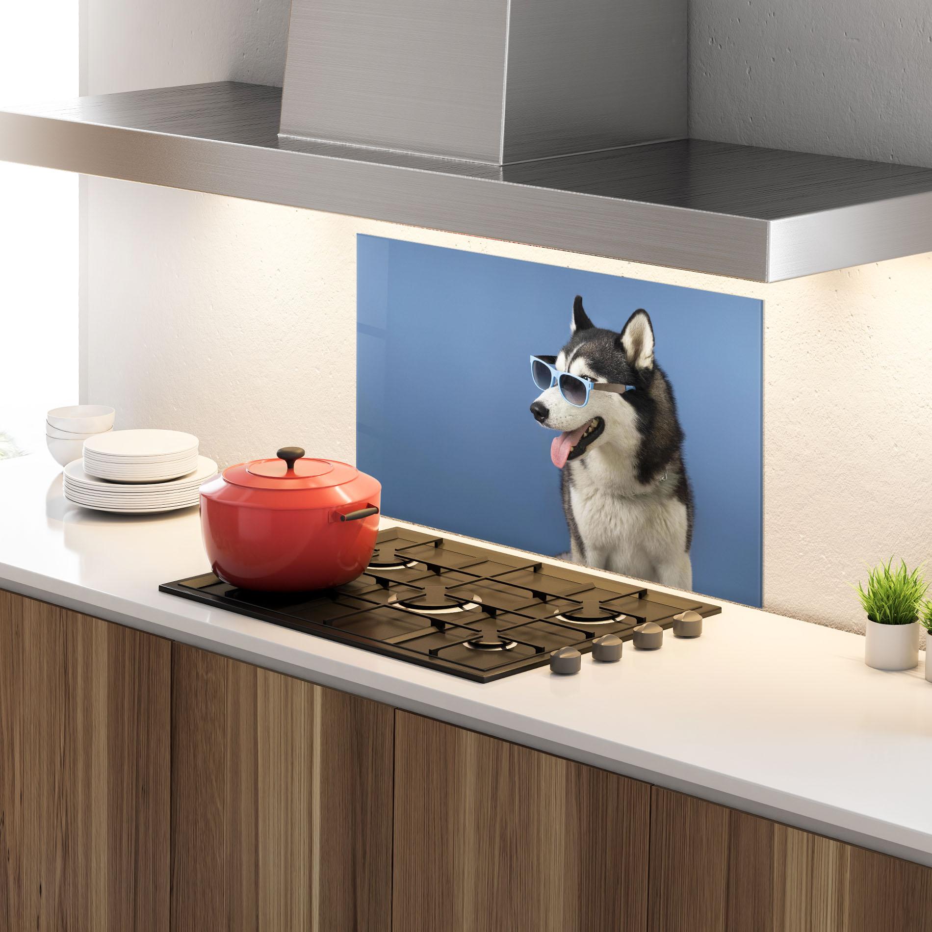 Küchenrückwand Glas Blue Glasses Dog mockup 4