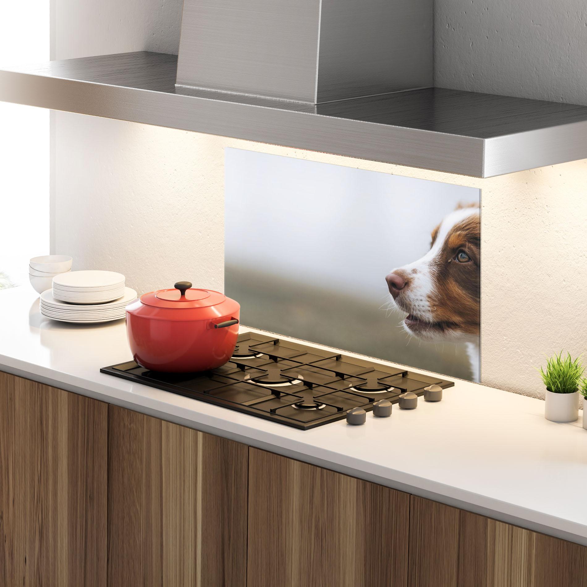 Küchenrückwand Glas Brown White Dog mockup 4
