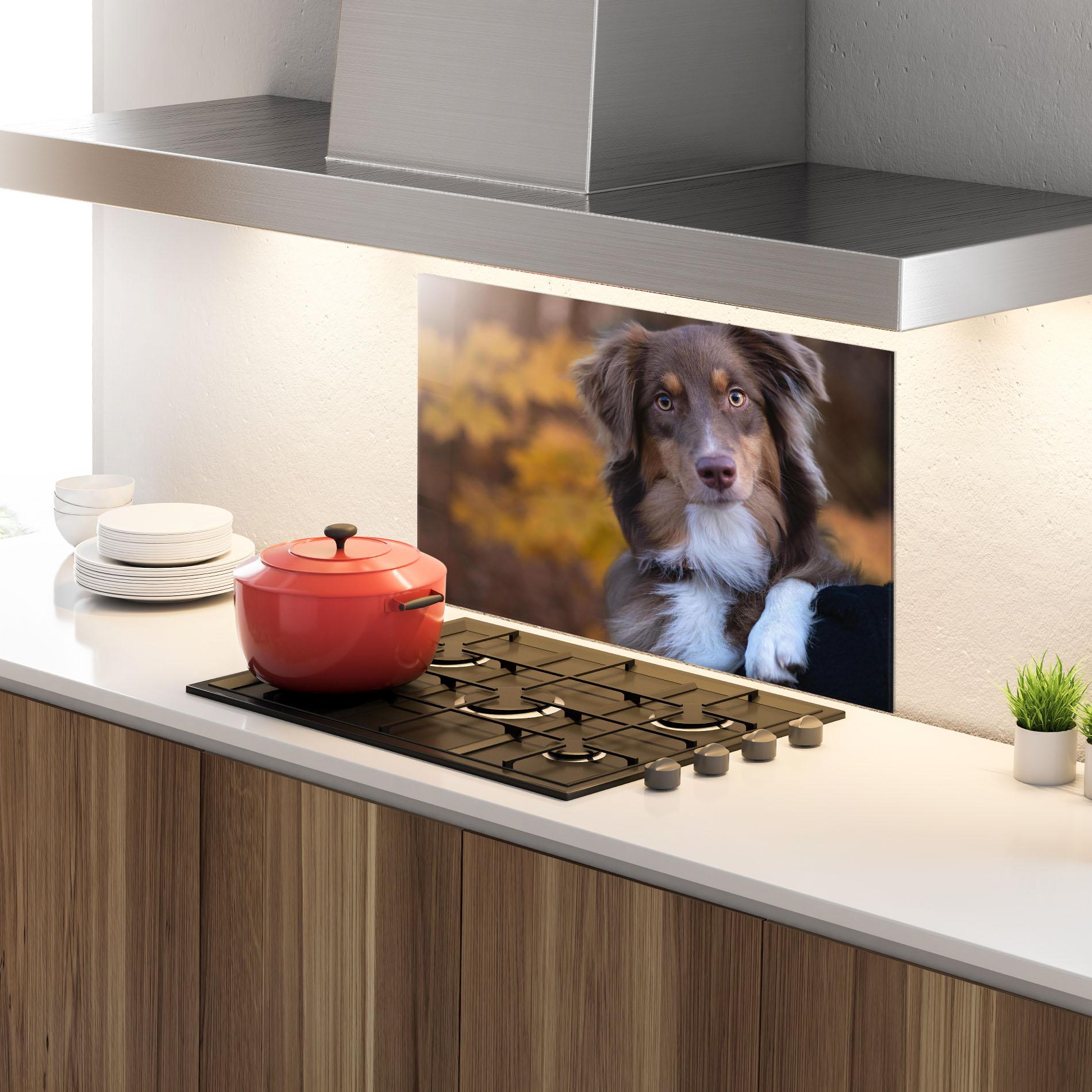 Küchenrückwand Glas Coffee Brown Dog mockup 4