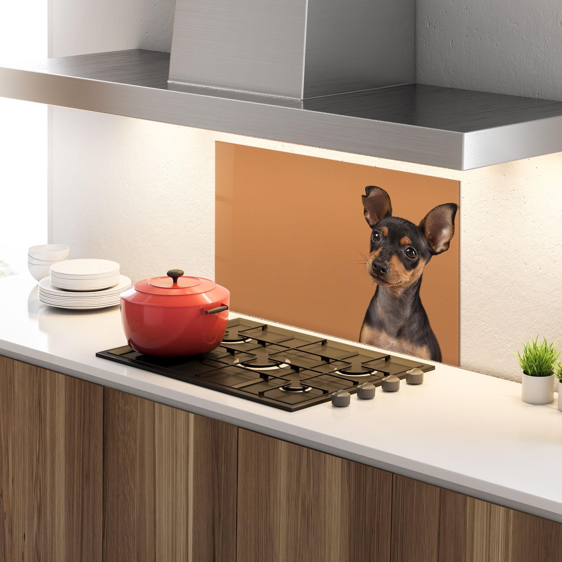 Küchenrückwand Glas Cute Dog Portrait mockup 4