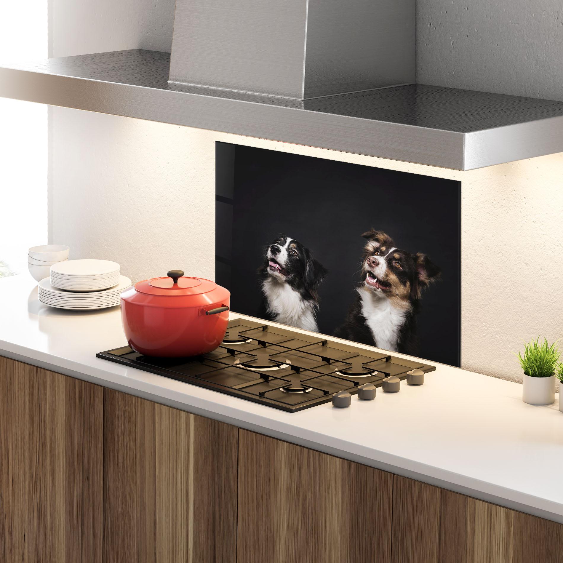 Küchenrückwand Glas Cute Dogs Standing mockup 4