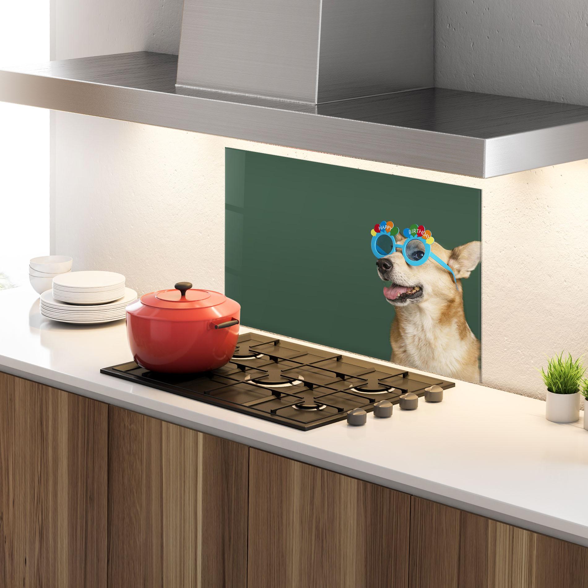 Küchenrückwand Glas Cute Glasses Dog mockup 4
