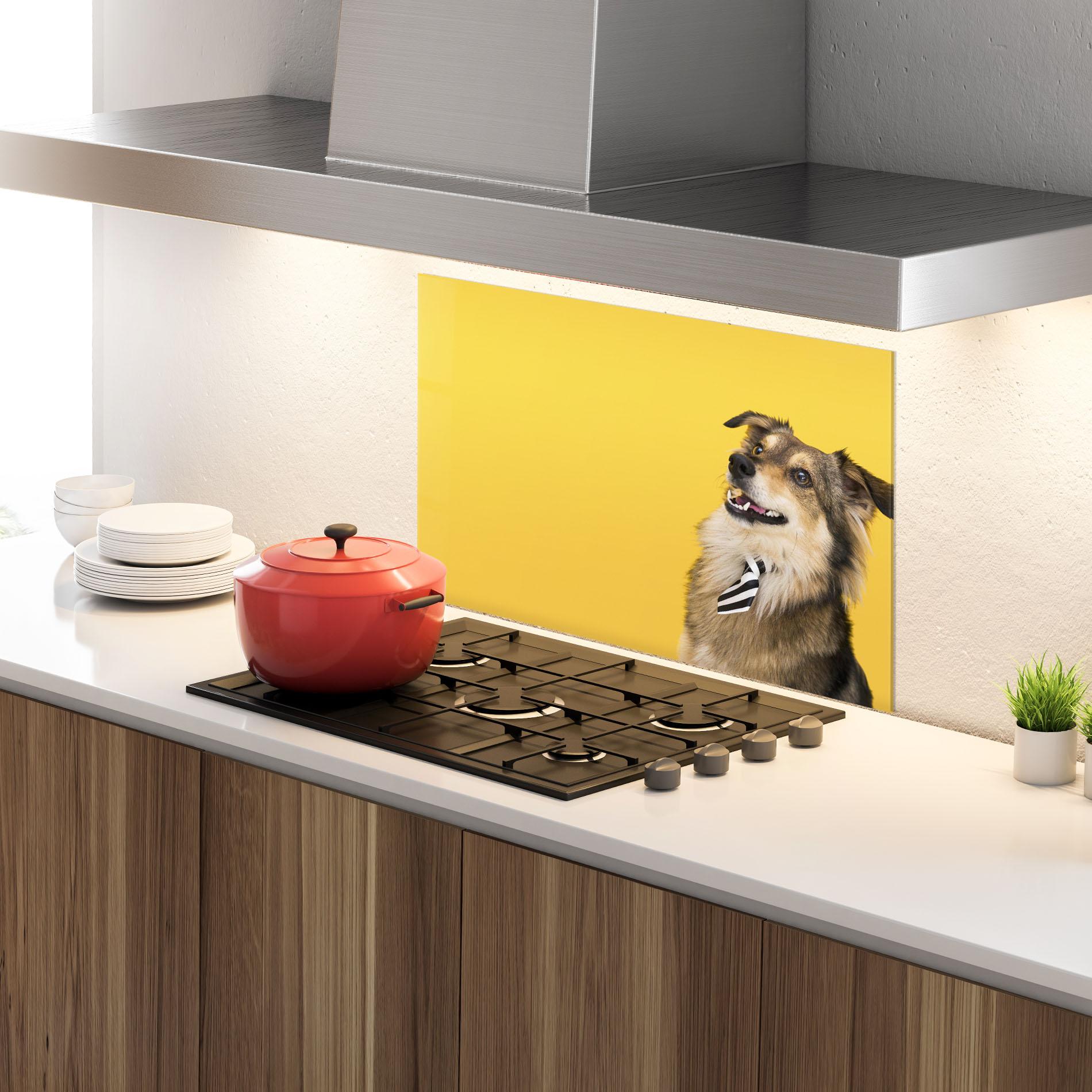 Küchenrückwand Glas Cute Smiling Dog mockup 4