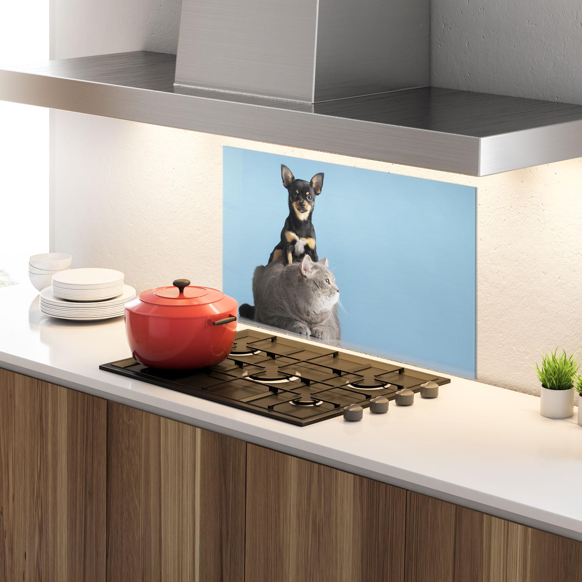 Küchenrückwand Glas Dog Grey Cat mockup 4