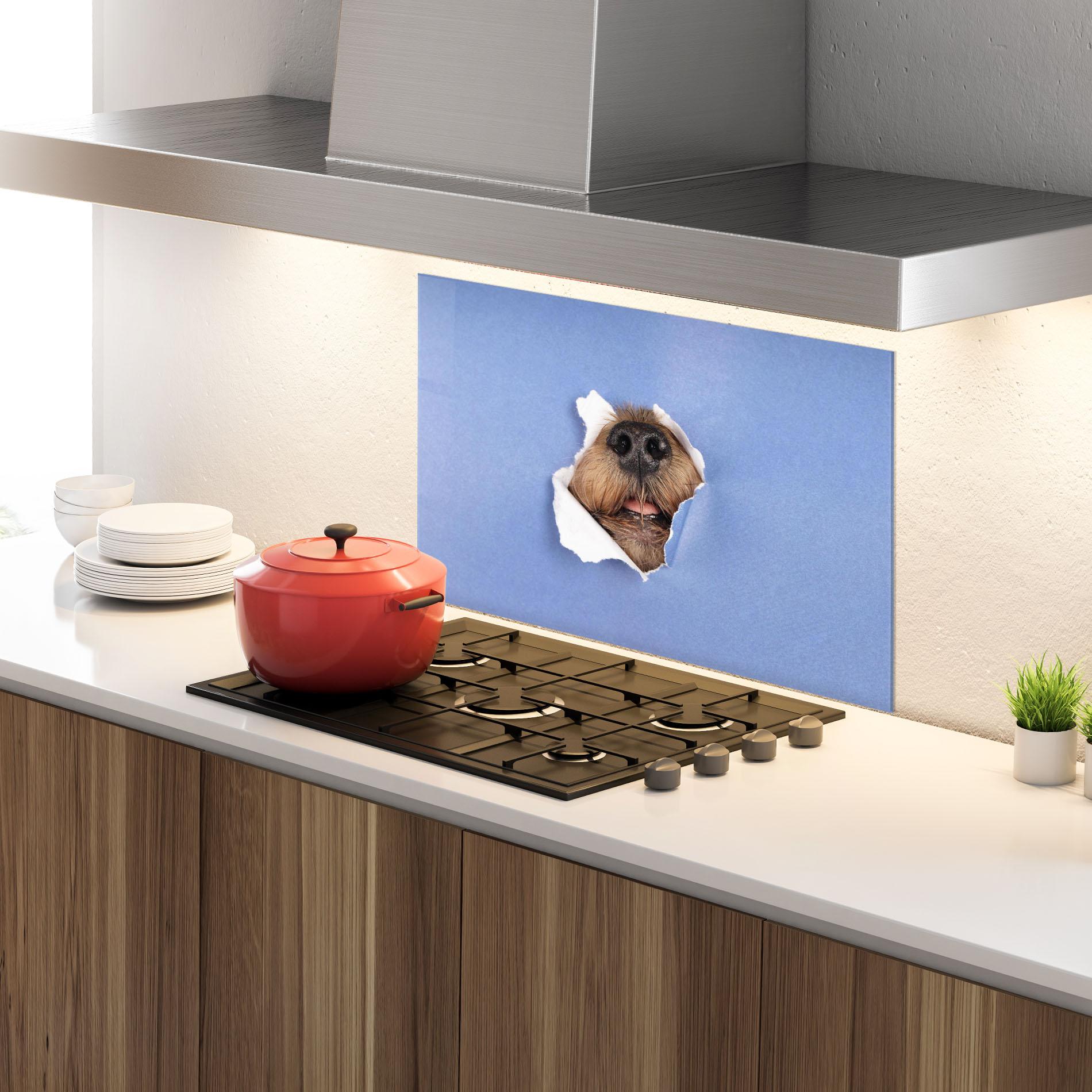 Küchenrückwand Glas Dog Small Nose mockup 4
