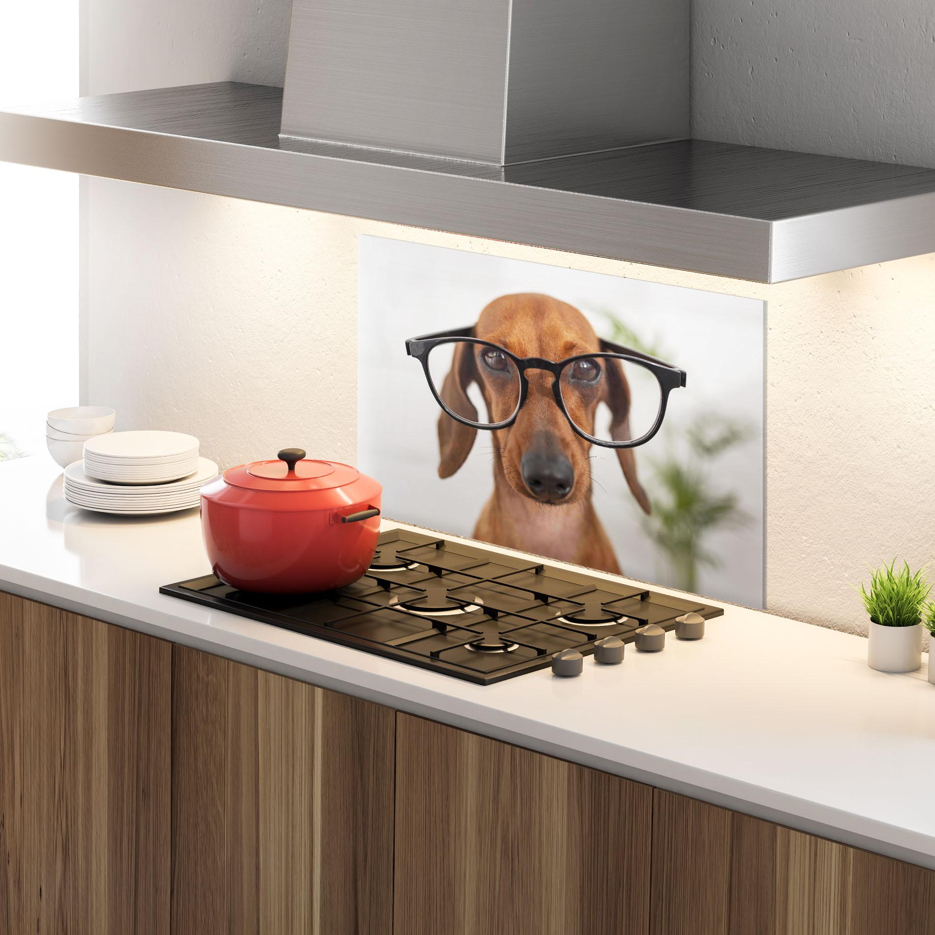 Küchenrückwand Glas Dog Wearing Glasses mockup 4