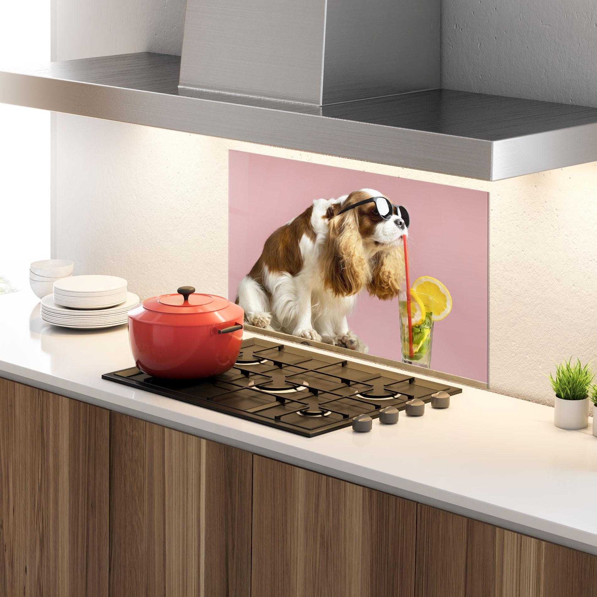 Küchenrückwand Glas Dog With Juice mockup 4