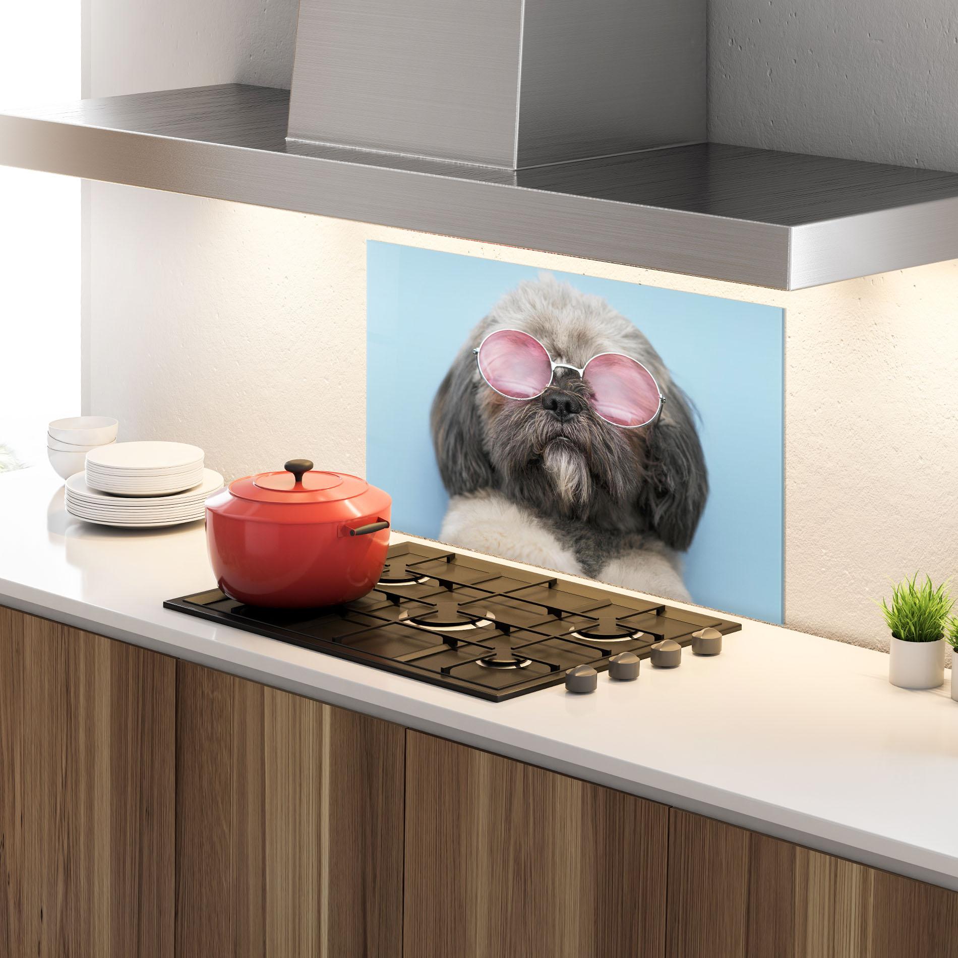 Küchenrückwand Glas Grey Dog On Blue mockup 4