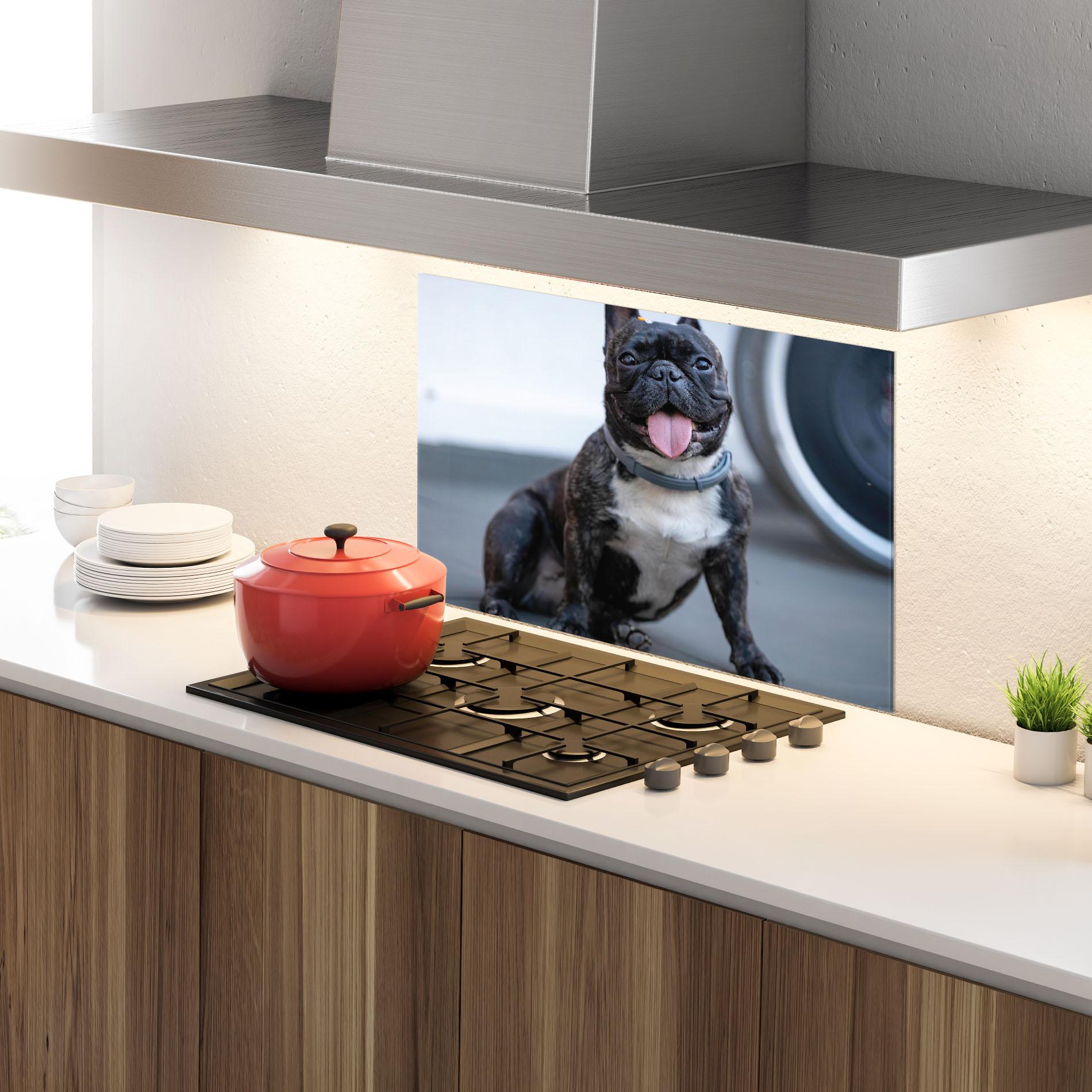 Küchenrückwand Glas Happy Black Dog mockup 4