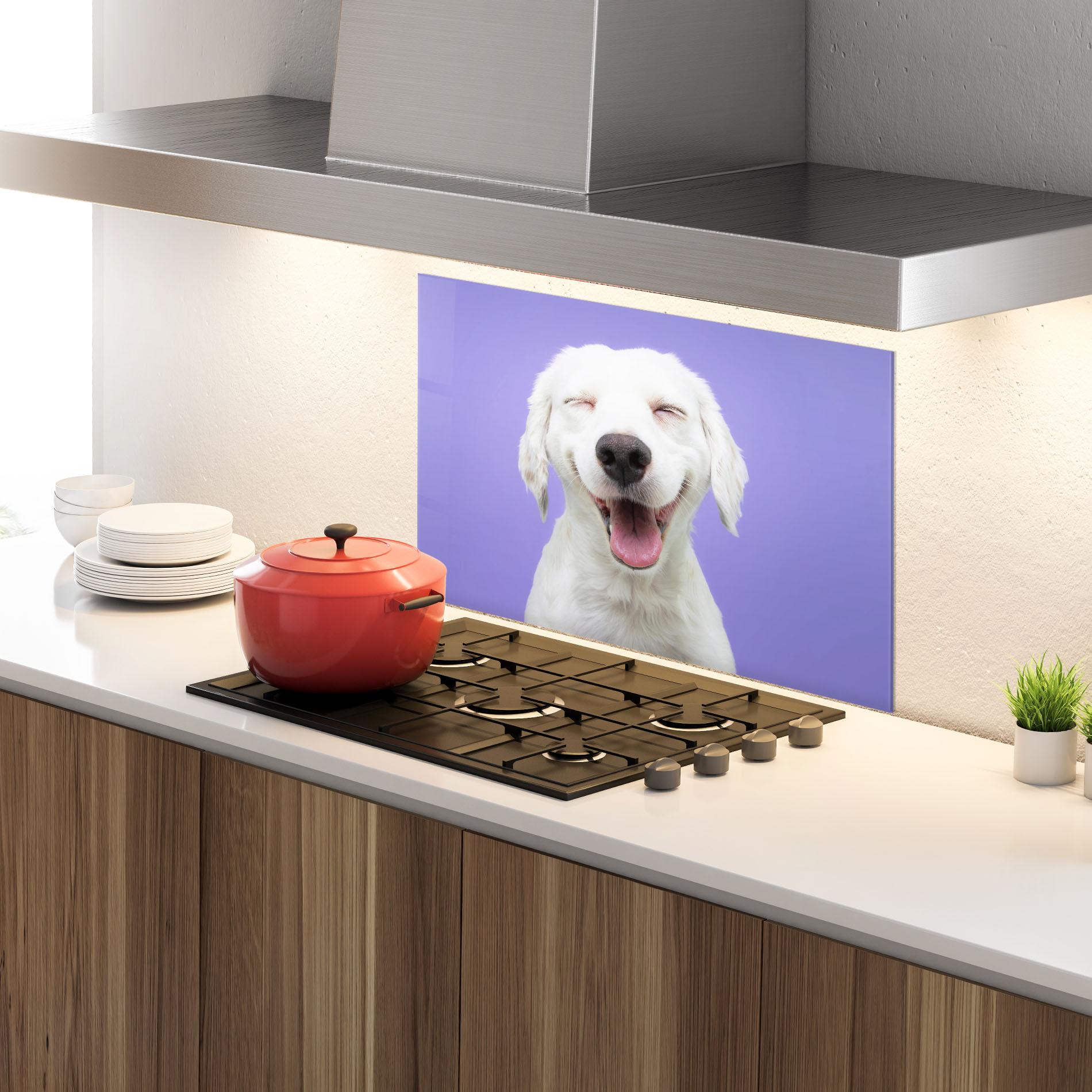 Küchenrückwand Glas Happy Whit Puppy mockup 4