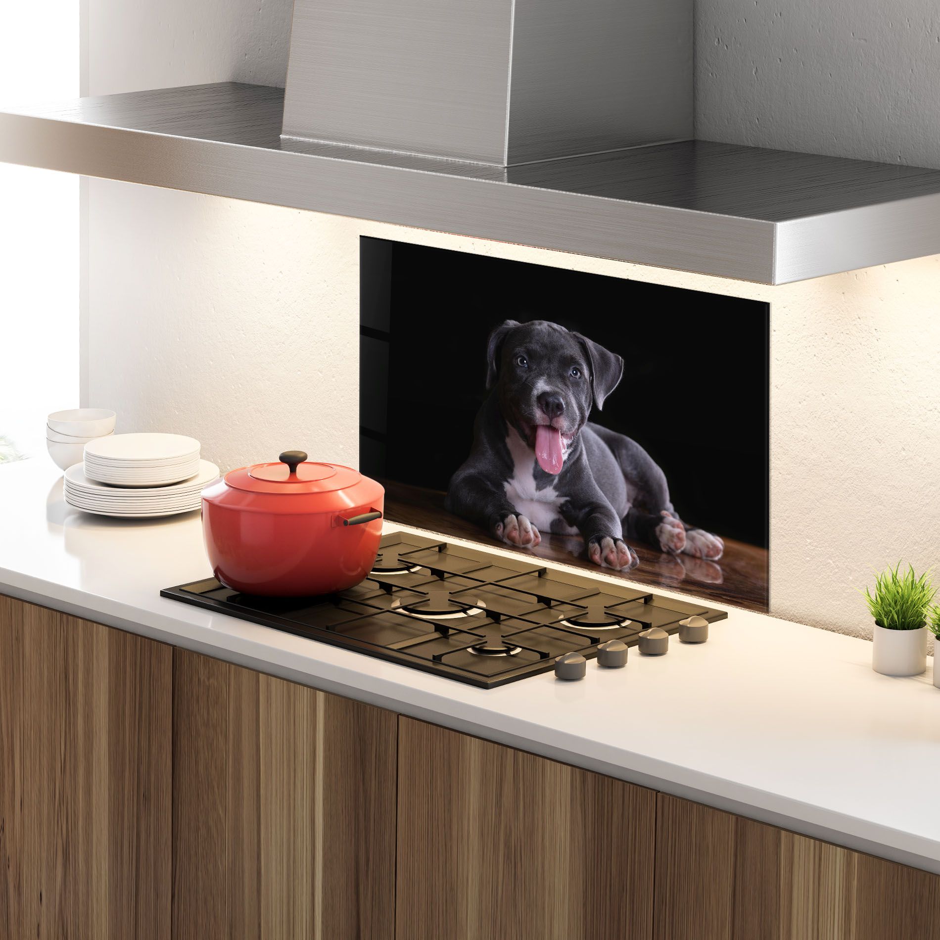 Terrier Puppy mockup 4