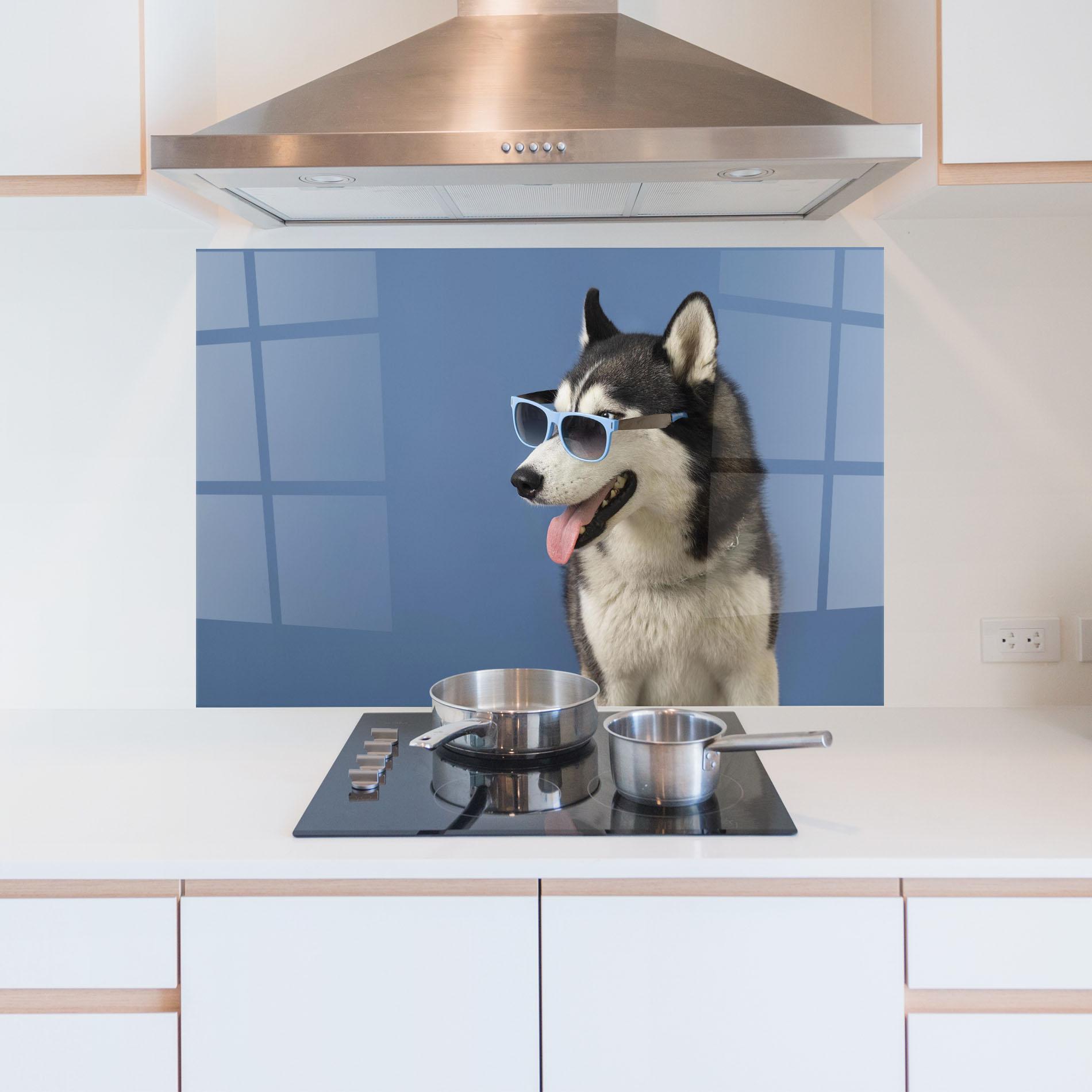 Küchenrückwand Glas Blue Glasses Dog mockup 5
