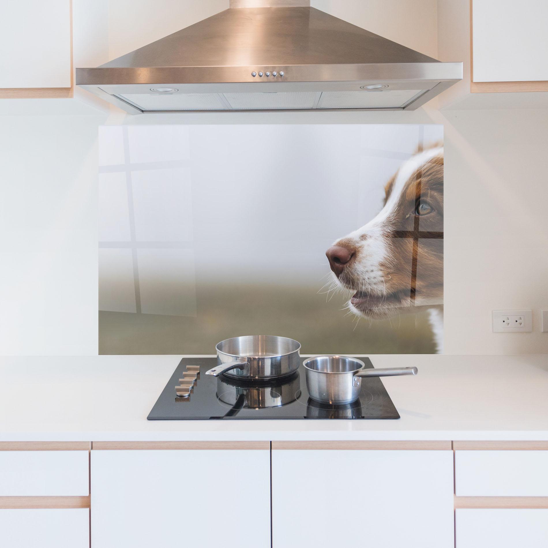 Küchenrückwand Glas Brown White Dog mockup 5