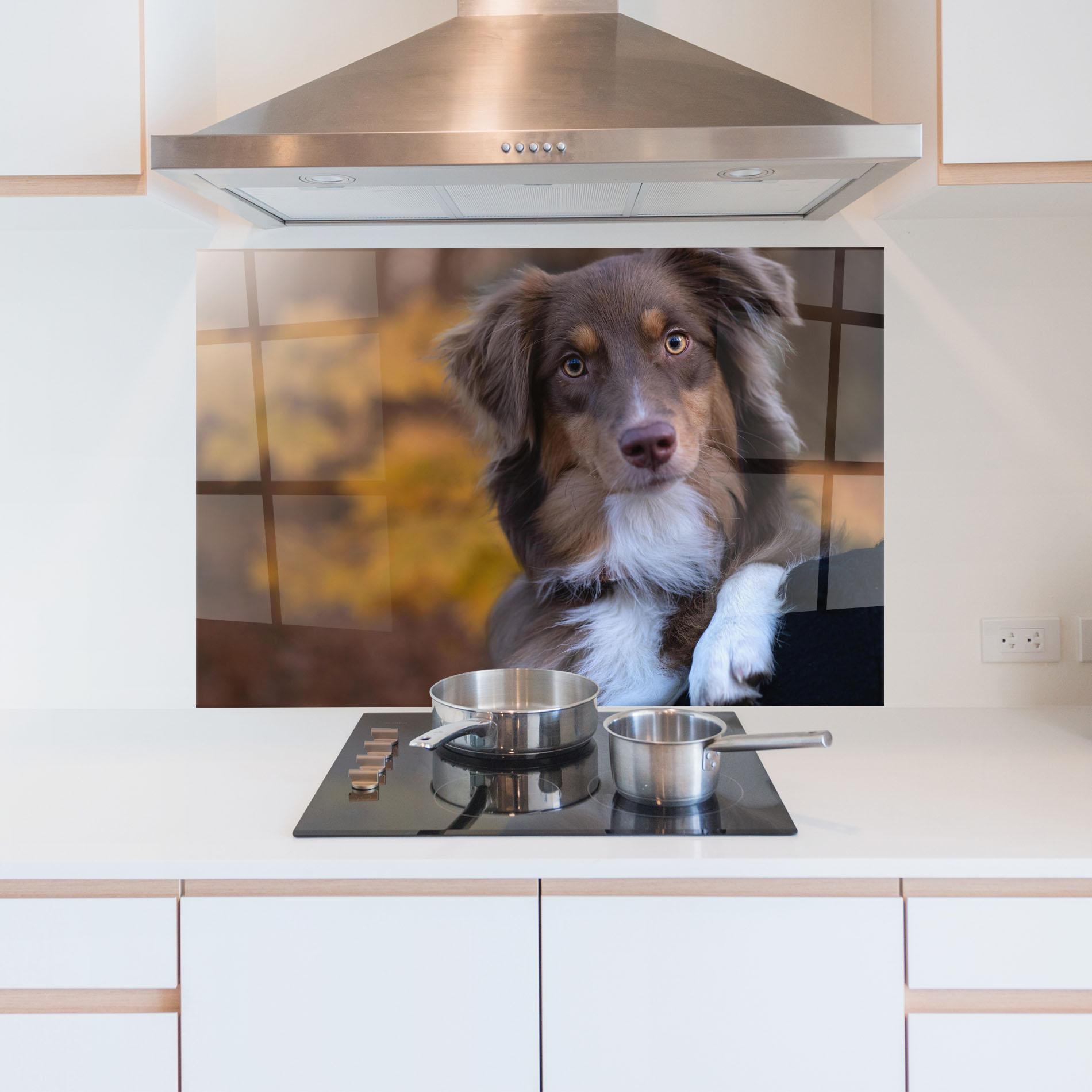 Küchenrückwand Glas Coffee Brown Dog mockup 5
