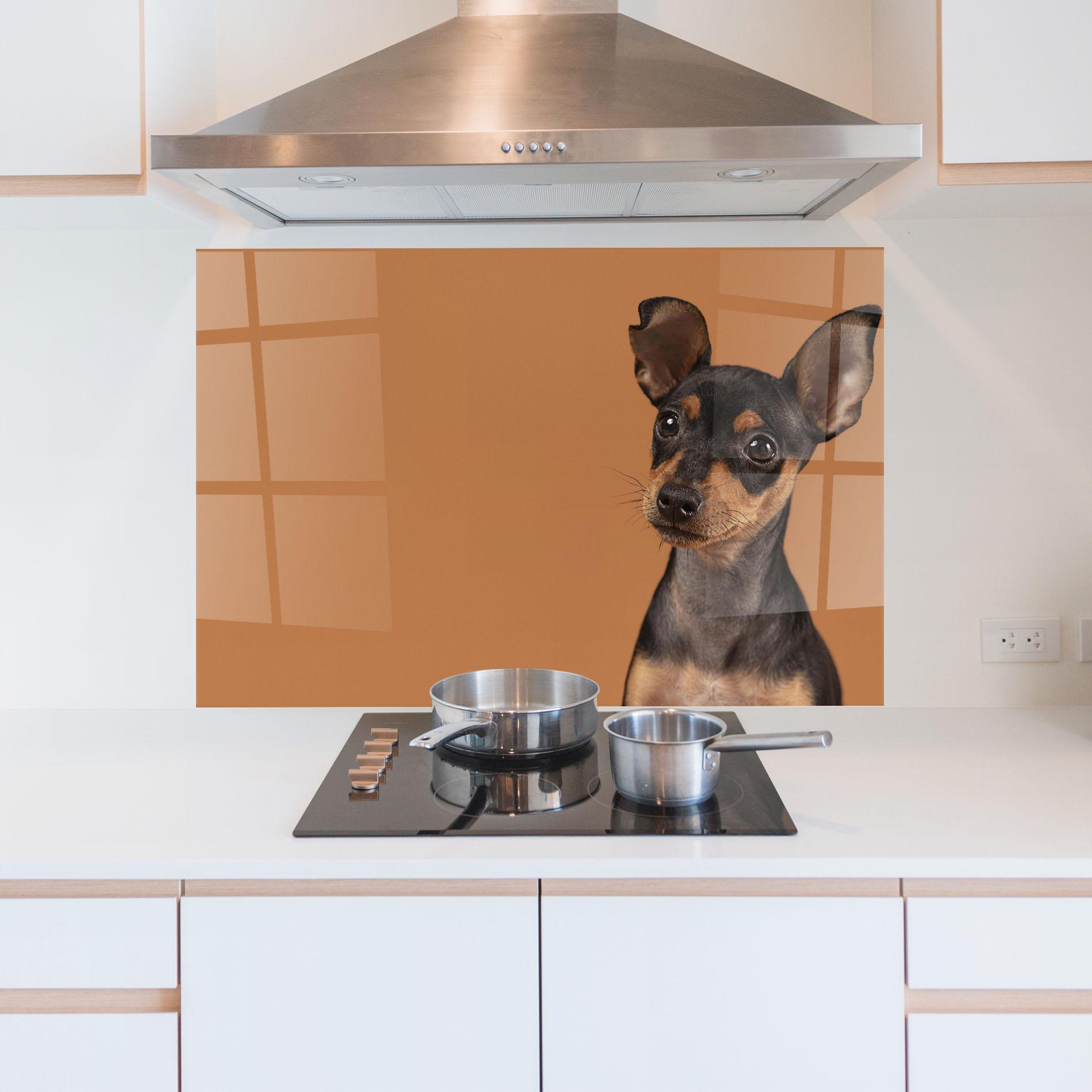 Küchenrückwand Glas Cute Dog Portrait mockup 5