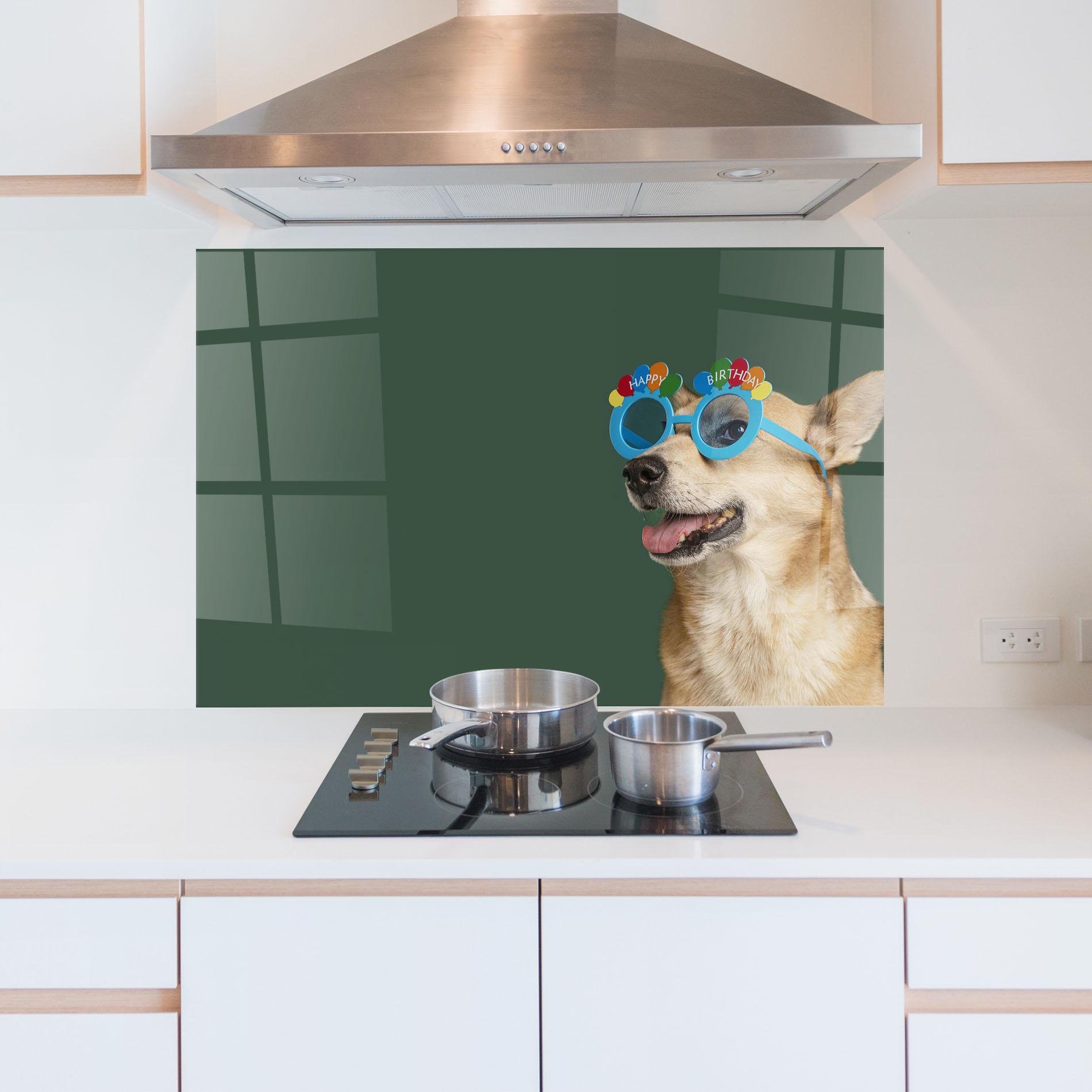 Küchenrückwand Glas Cute Glasses Dog mockup 5