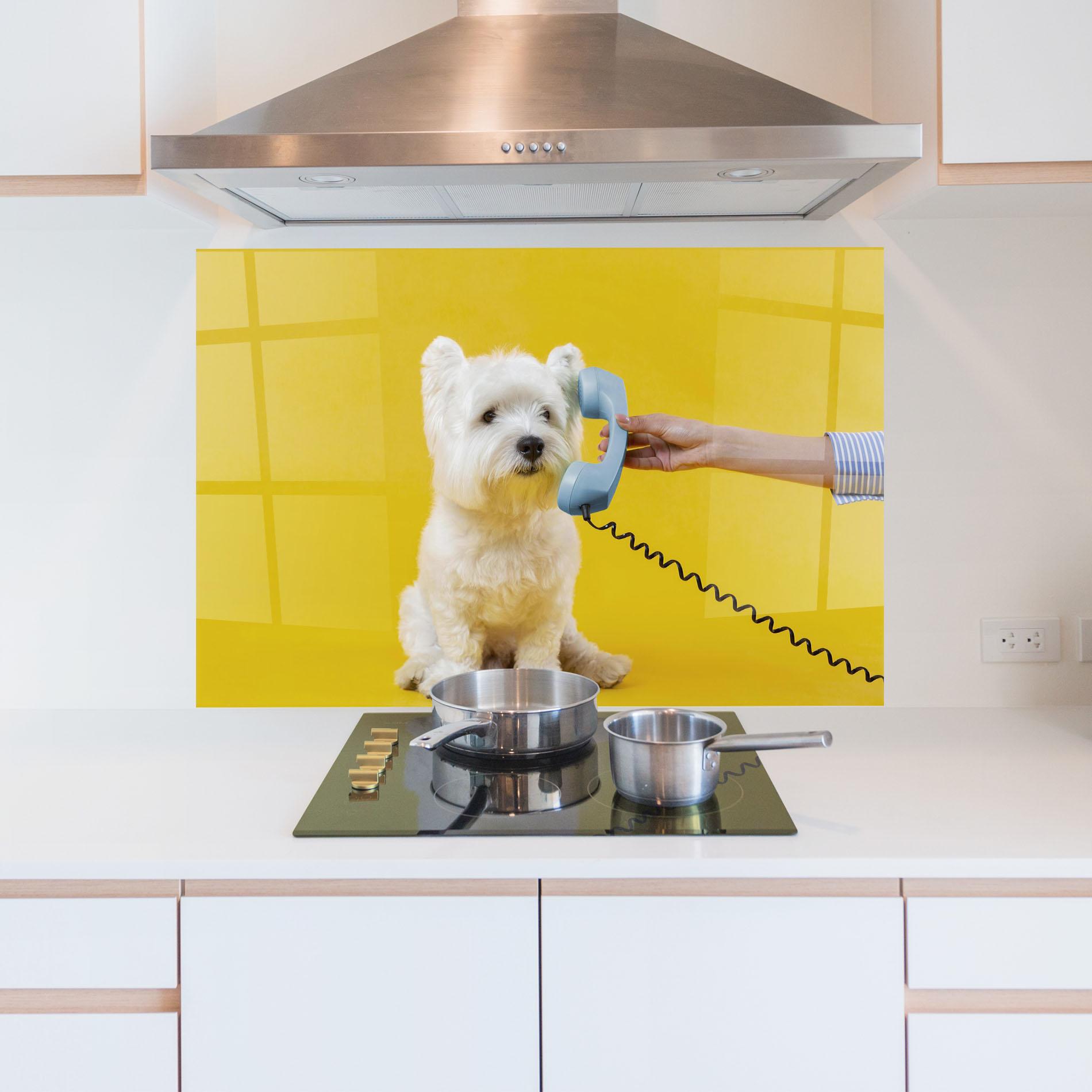 Küchenrückwand Glas Cute Little Dog mockup 5