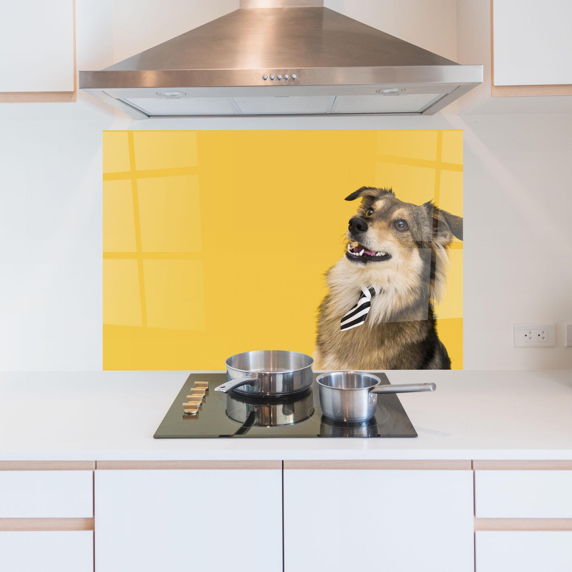 Küchenrückwand Glas Cute Smiling Dog mockup 5