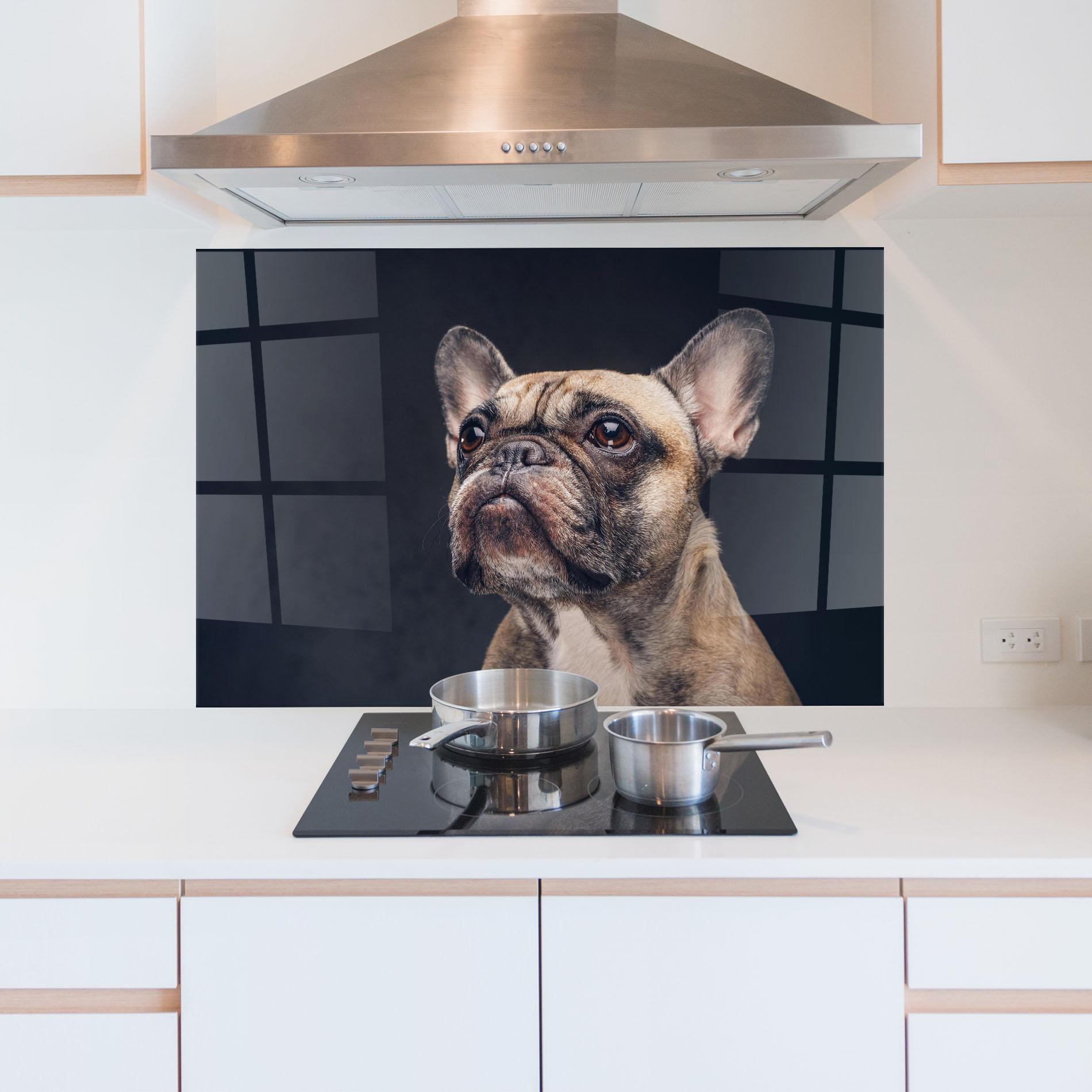 Küchenrückwand Glas Dog Looking Up mockup 5