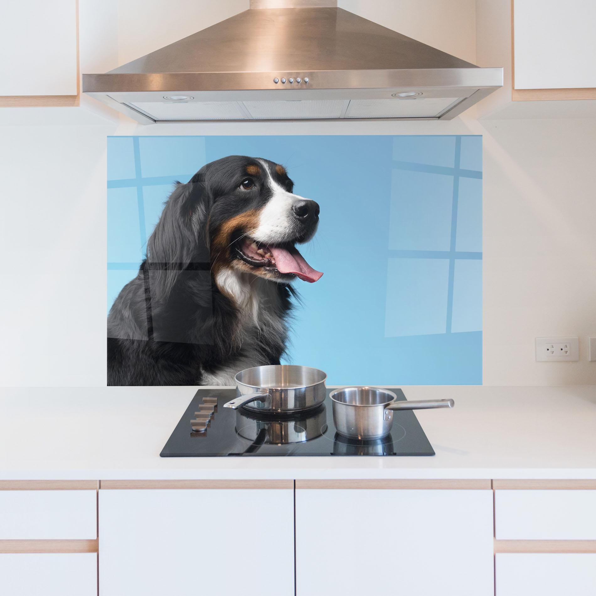 Küchenrückwand Glas Dog On Blue mockup 5